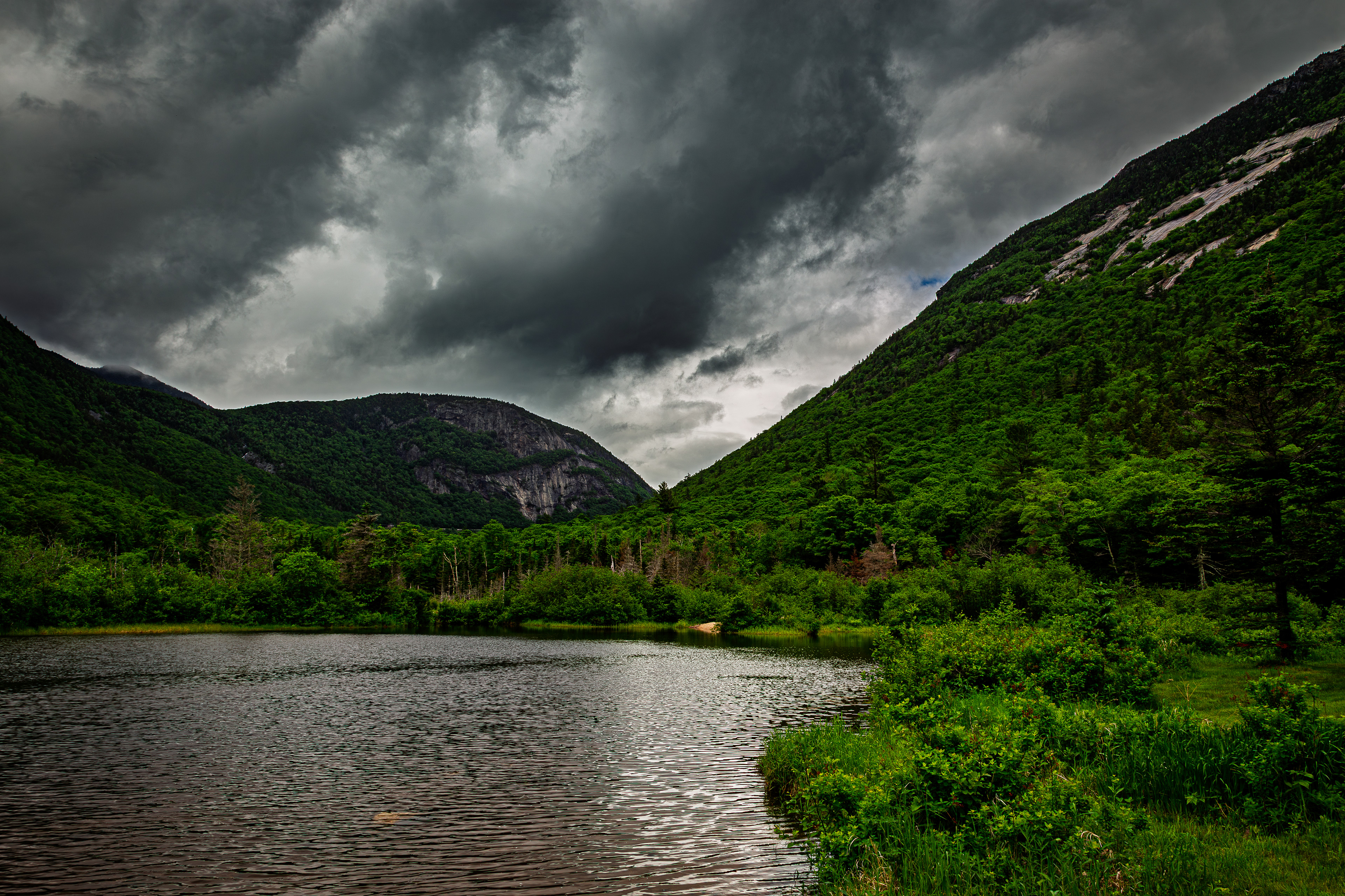 Willey Pond No16