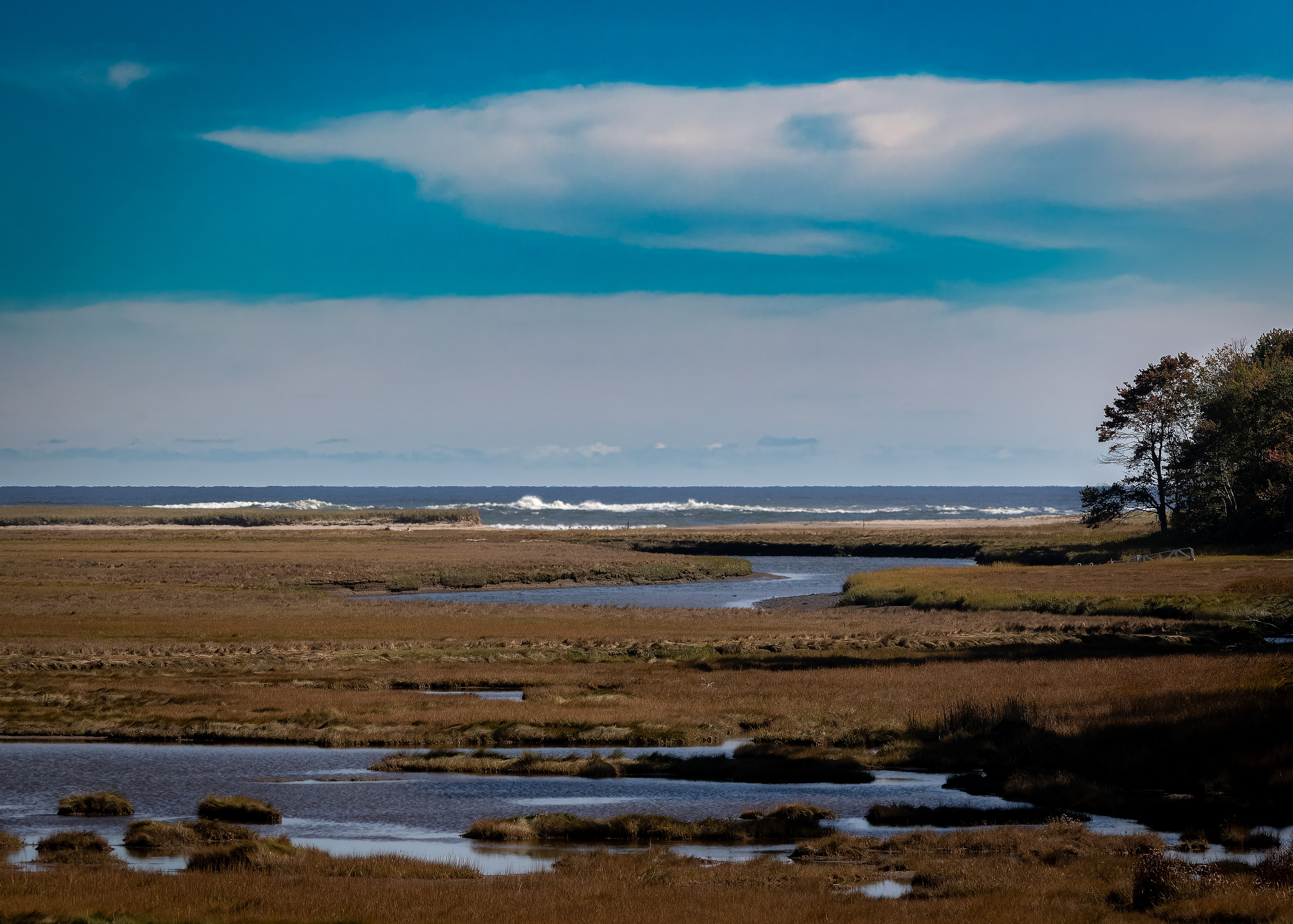 Views at Rachel Carson National Wildlife Refuge No2