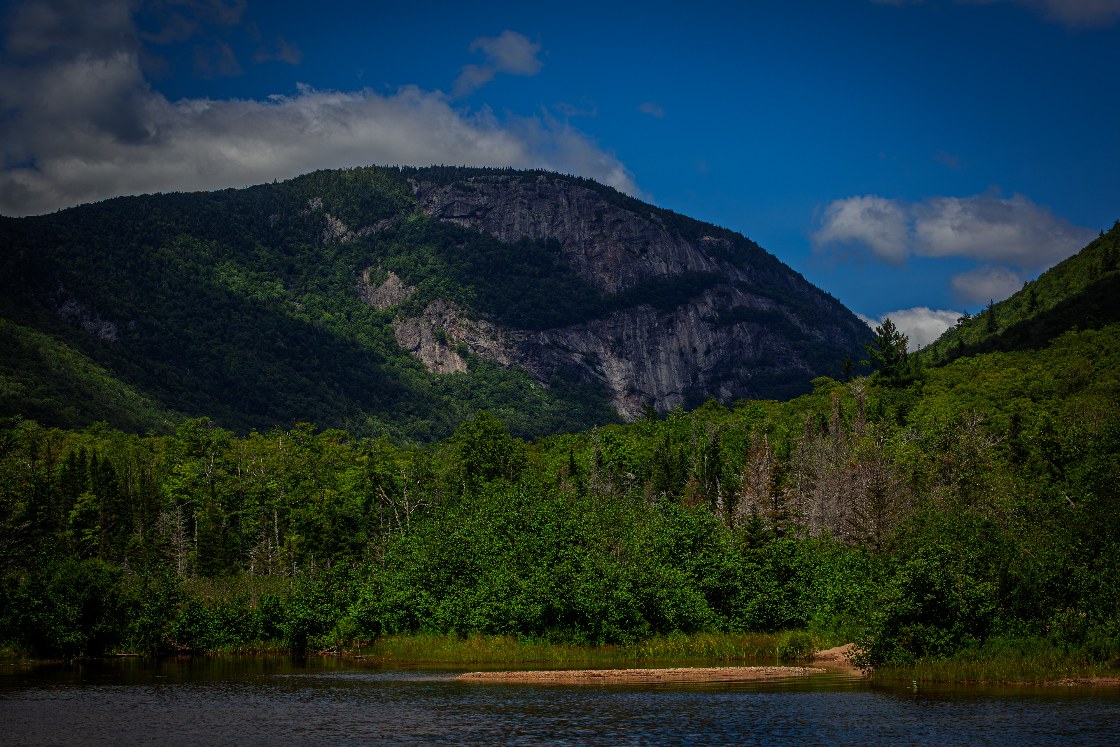Mount Willard from Willey Pond No12