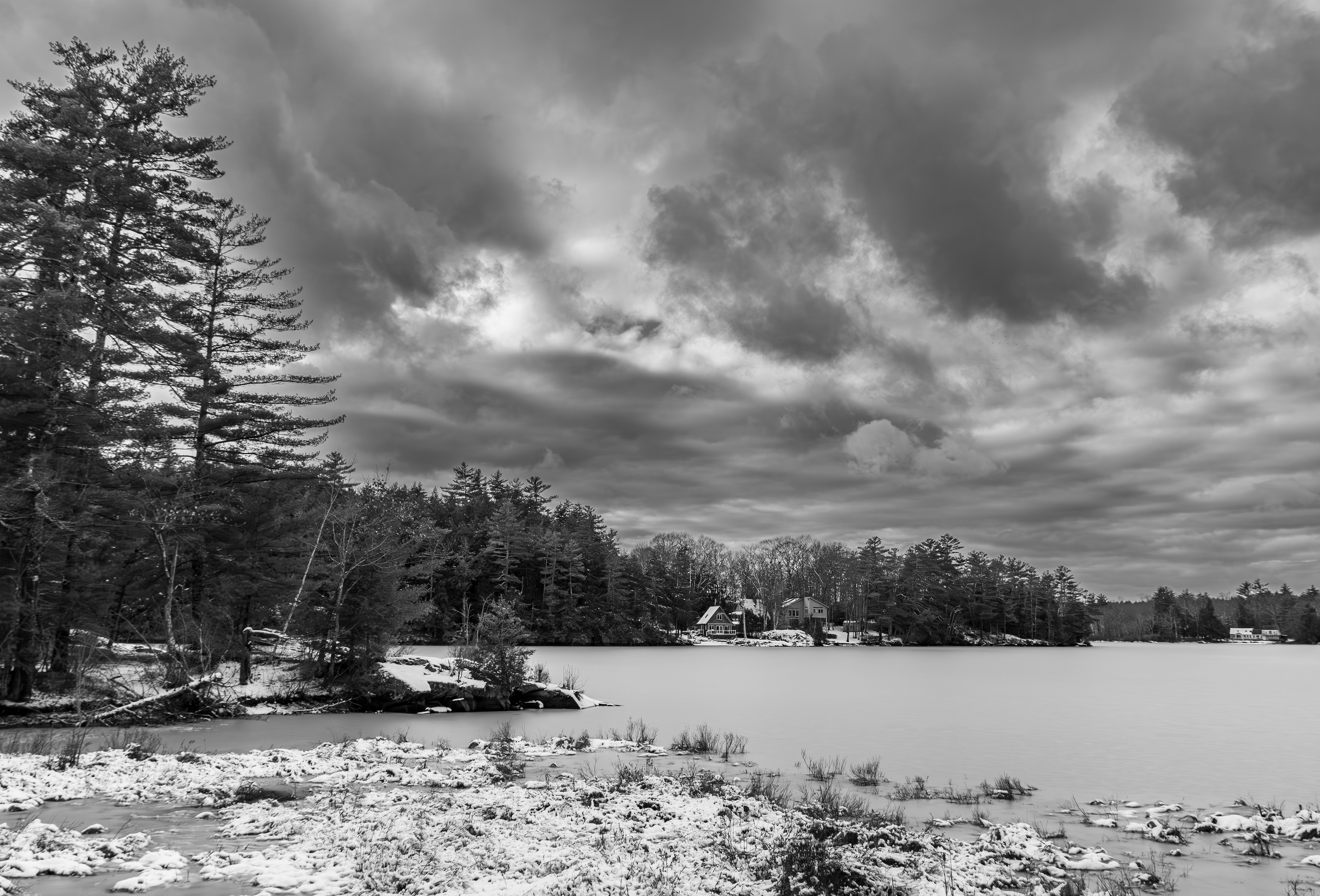 Shellcamp Pond No2 - November 29, 2024