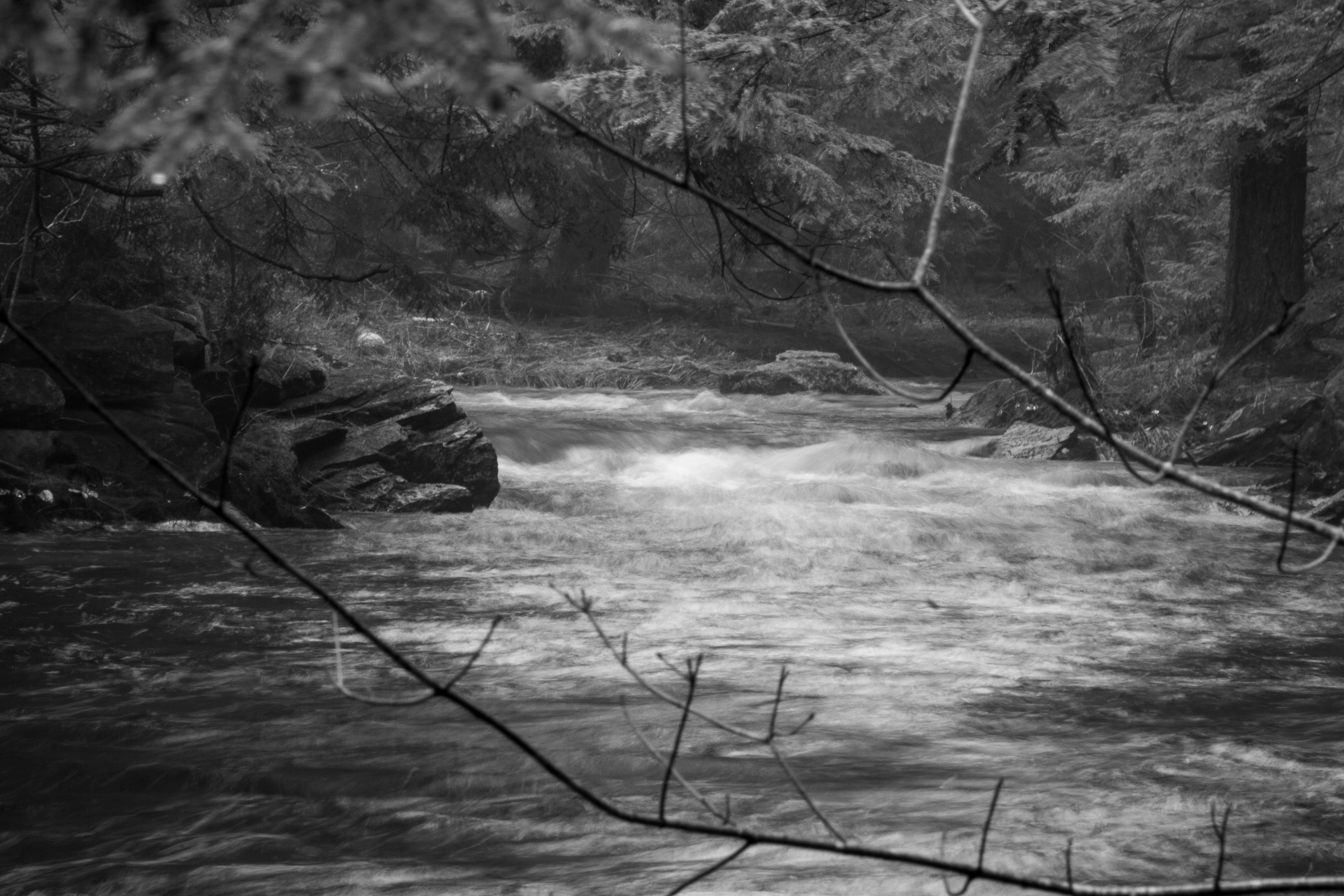 Academy Brook No7