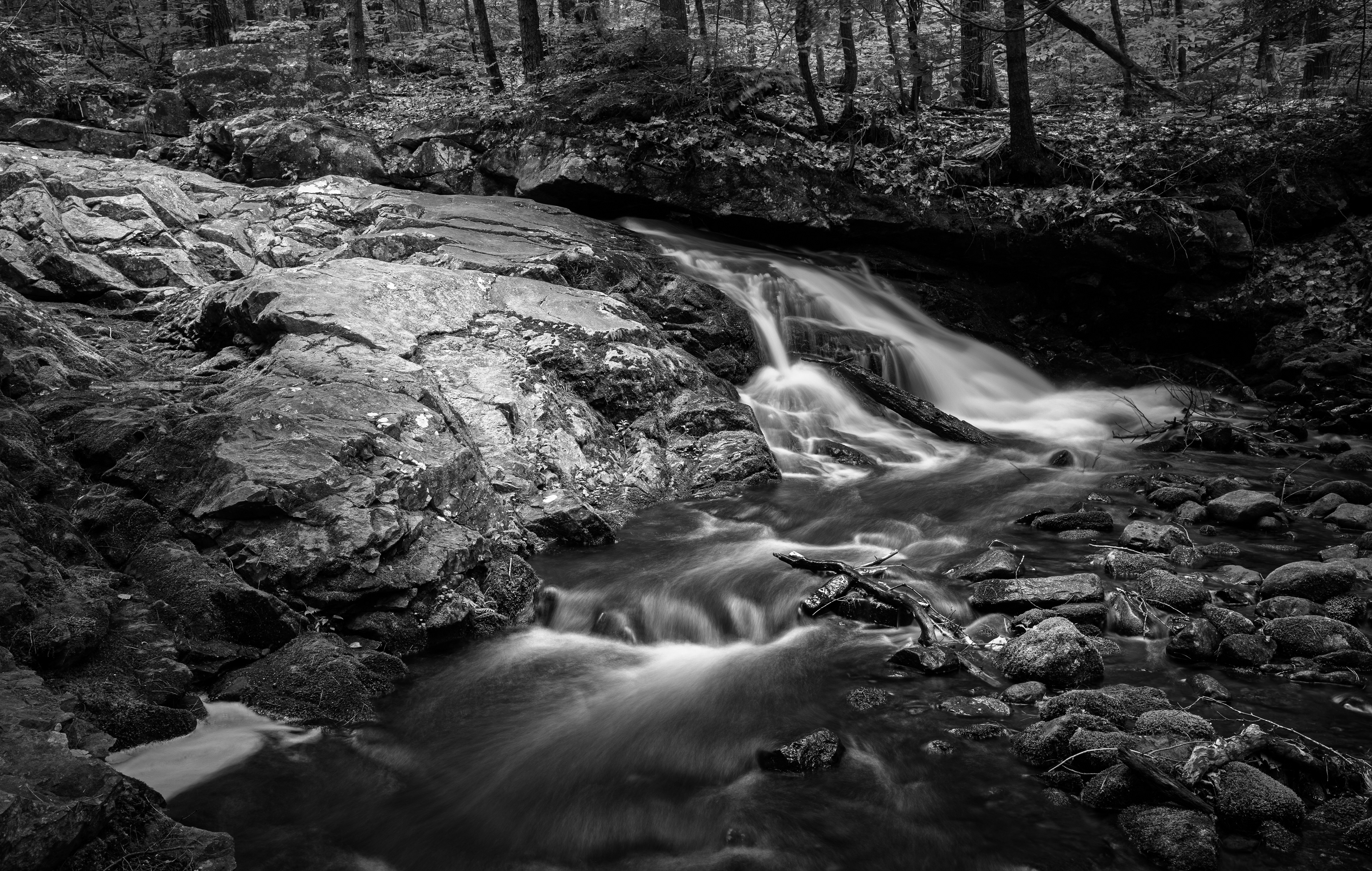 Brook Trail Unnamed Falls No1