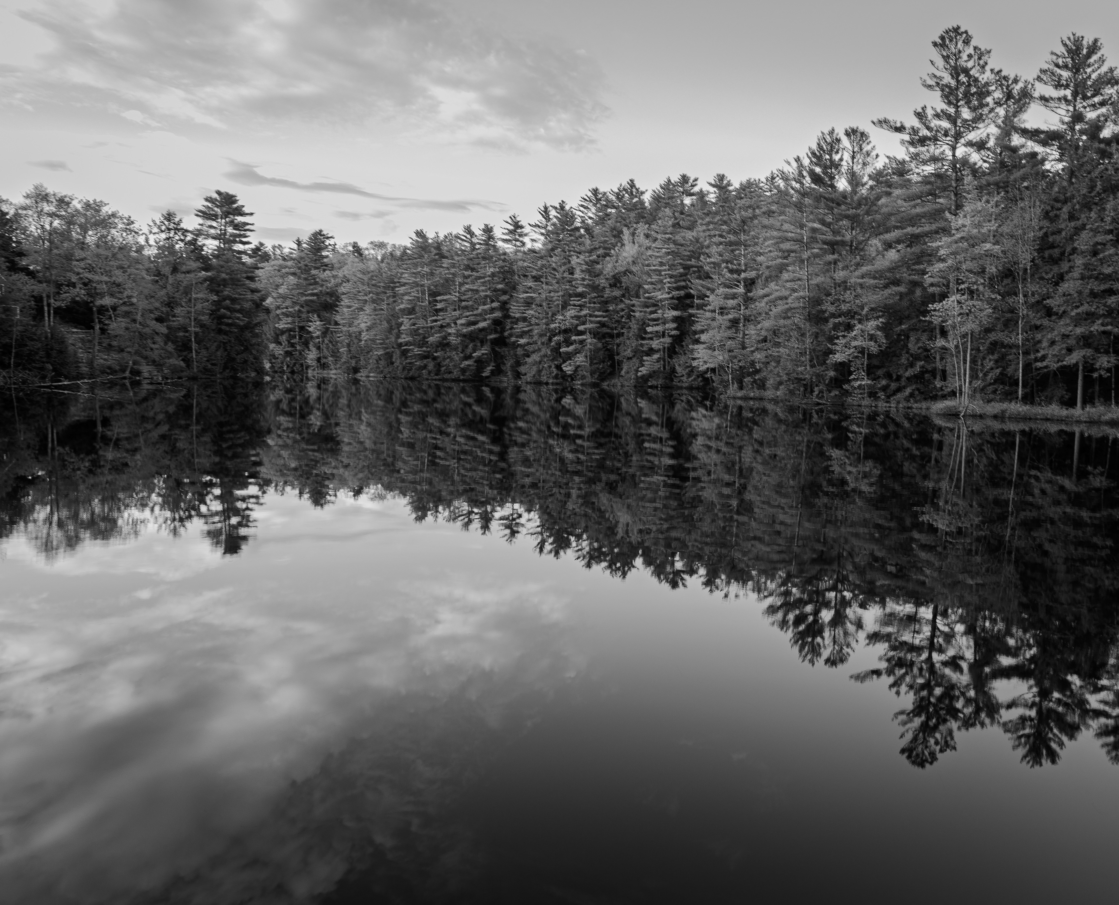 Meadow Pond Road Reflections