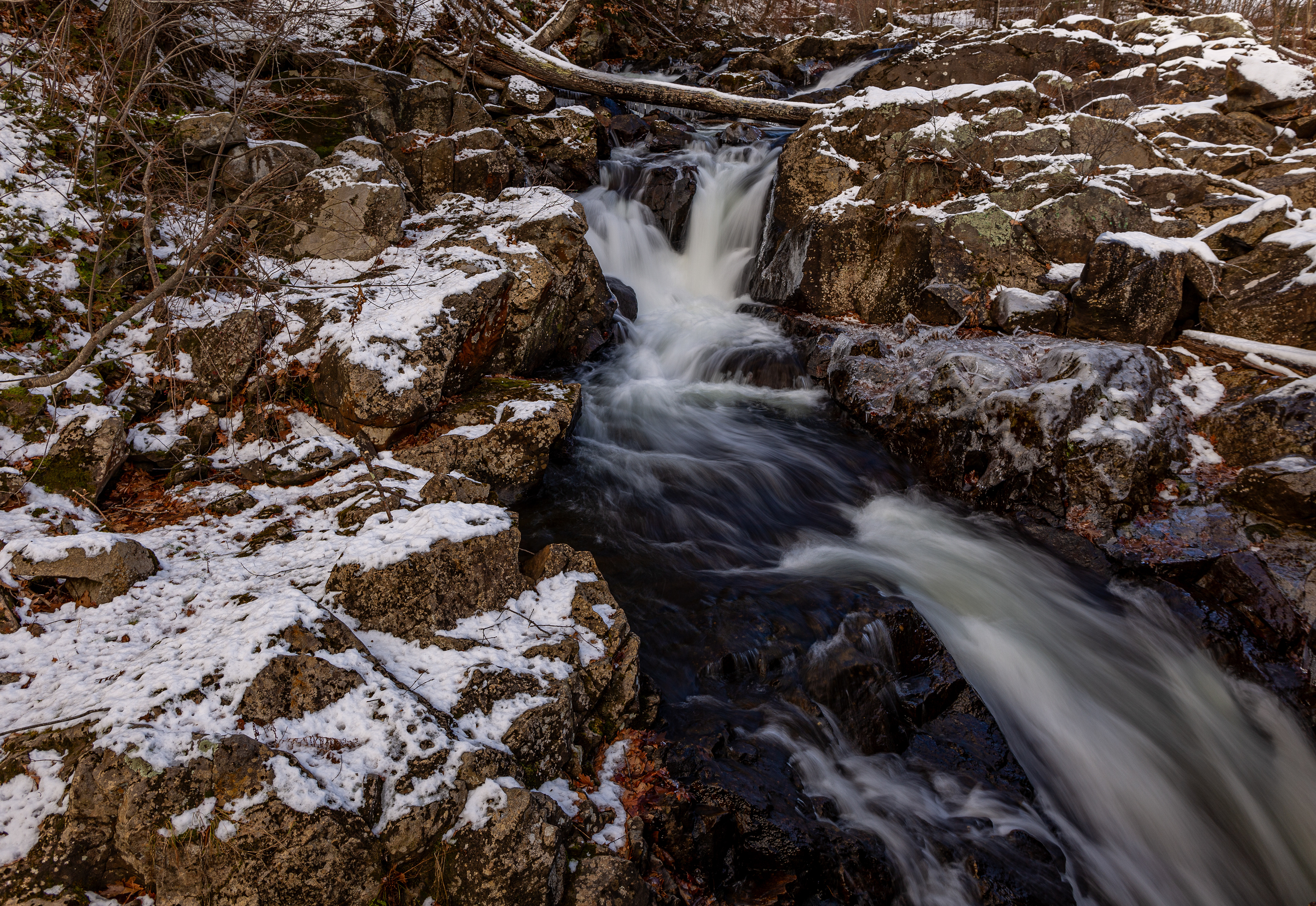 Bristol Falls Park 12-3-2024 No4