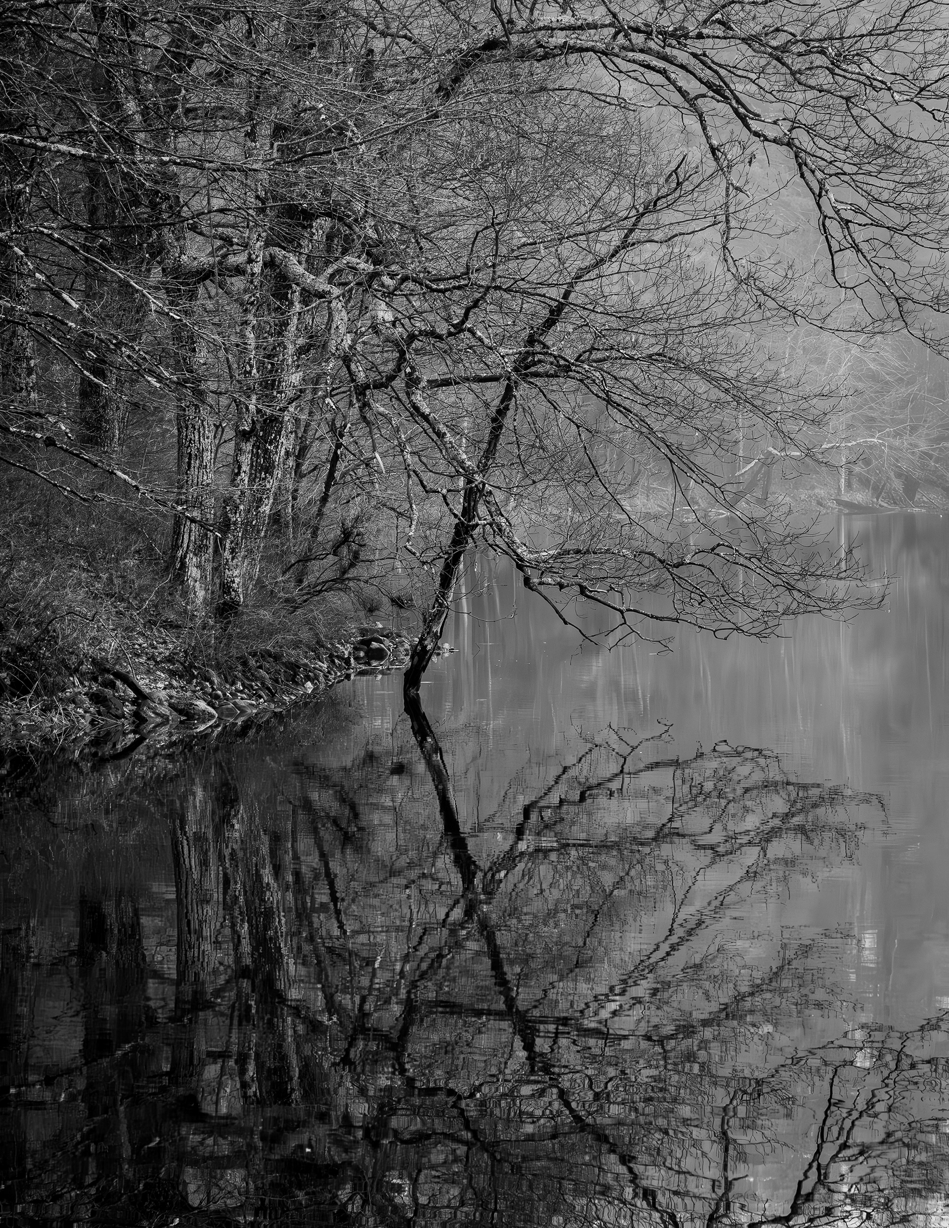Rollins Pond Reflections in Black & White