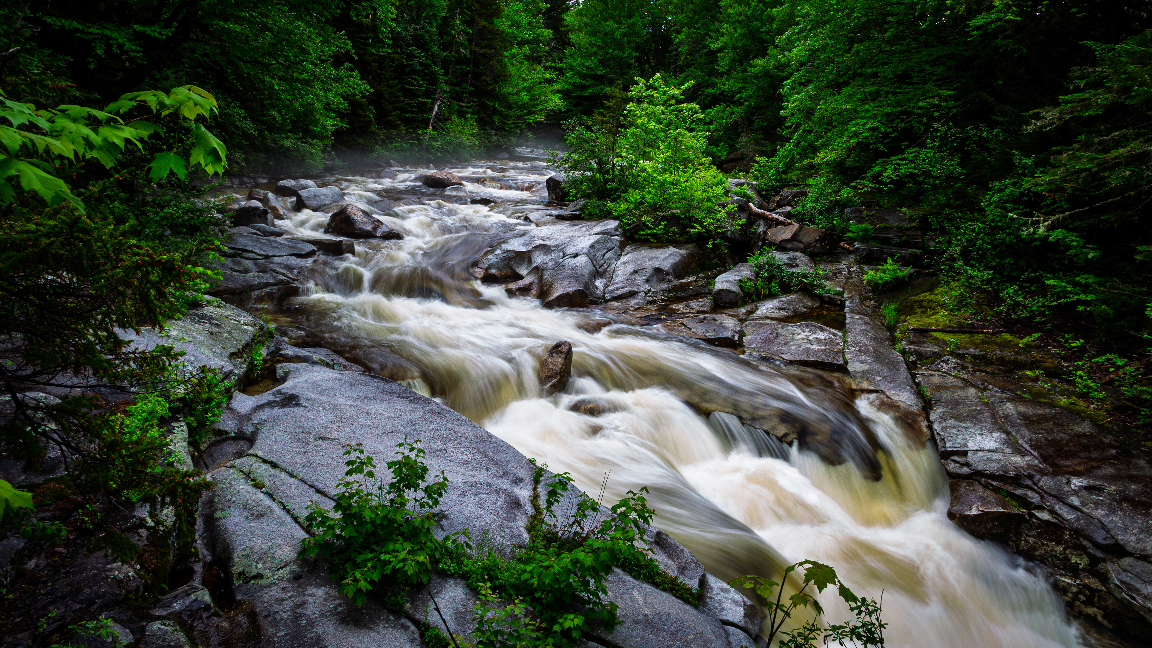 Upper Ammonoosuc Falls No24