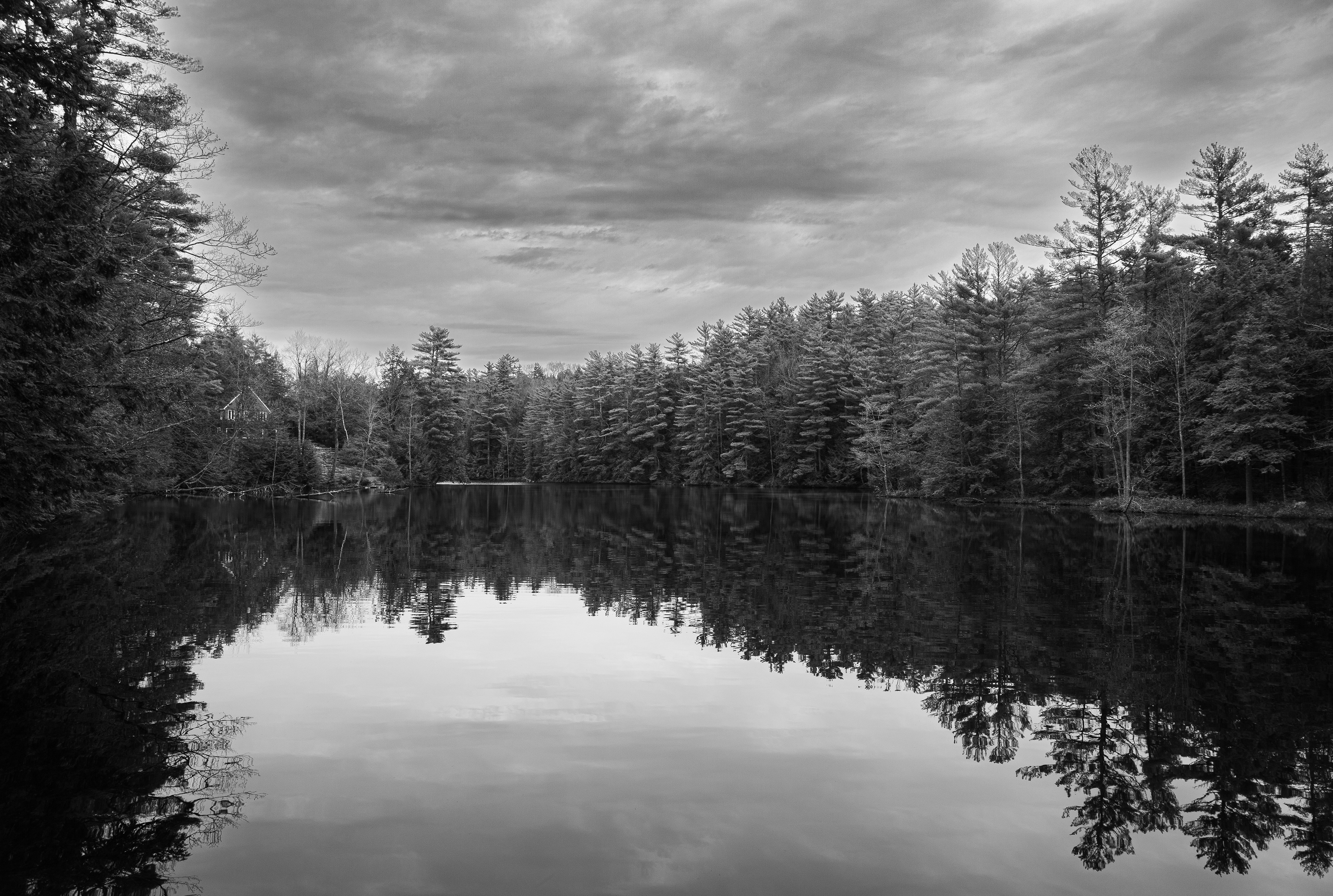 Meadow Pond Reflections - May 6, 2026