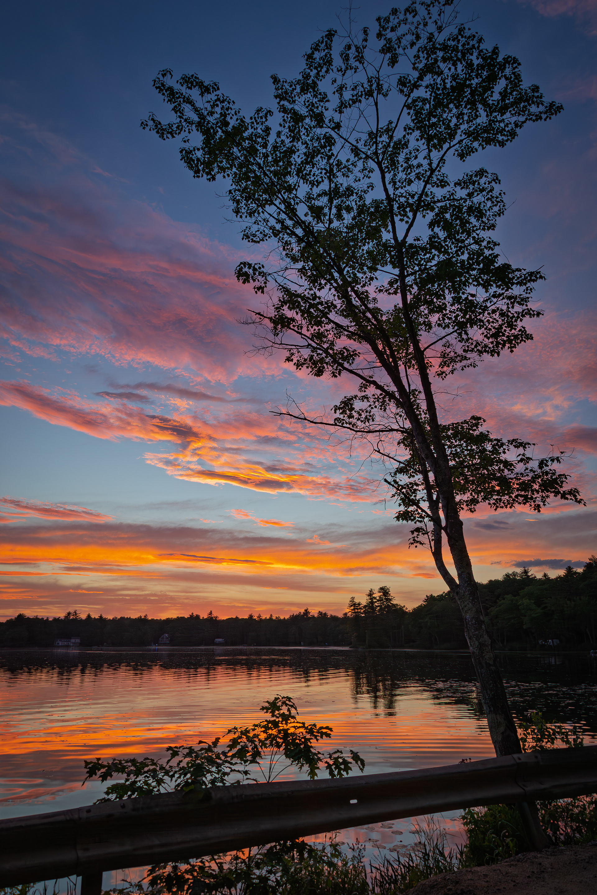 Shellcamp Sunset No23