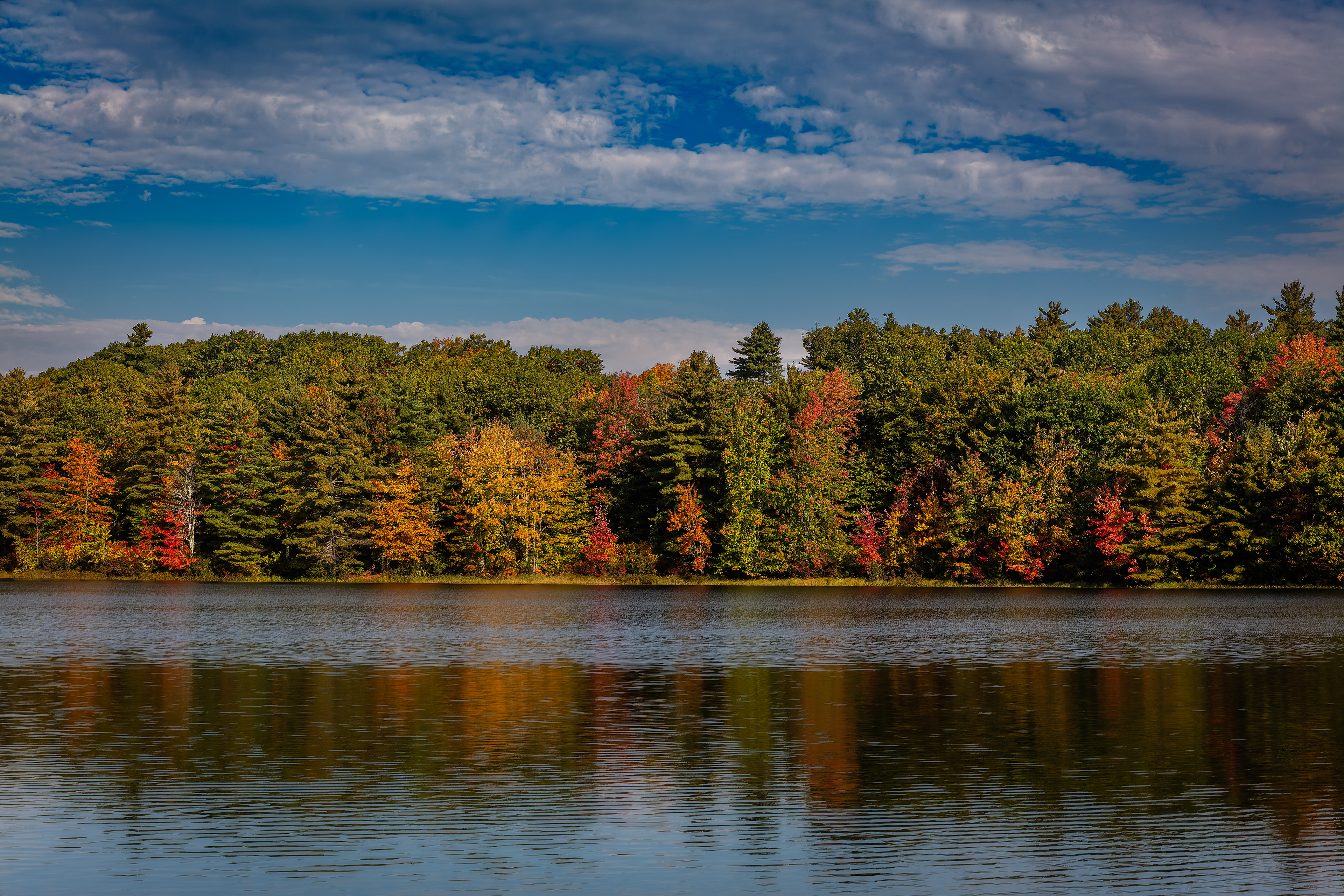 Meetinghouse Pond No5