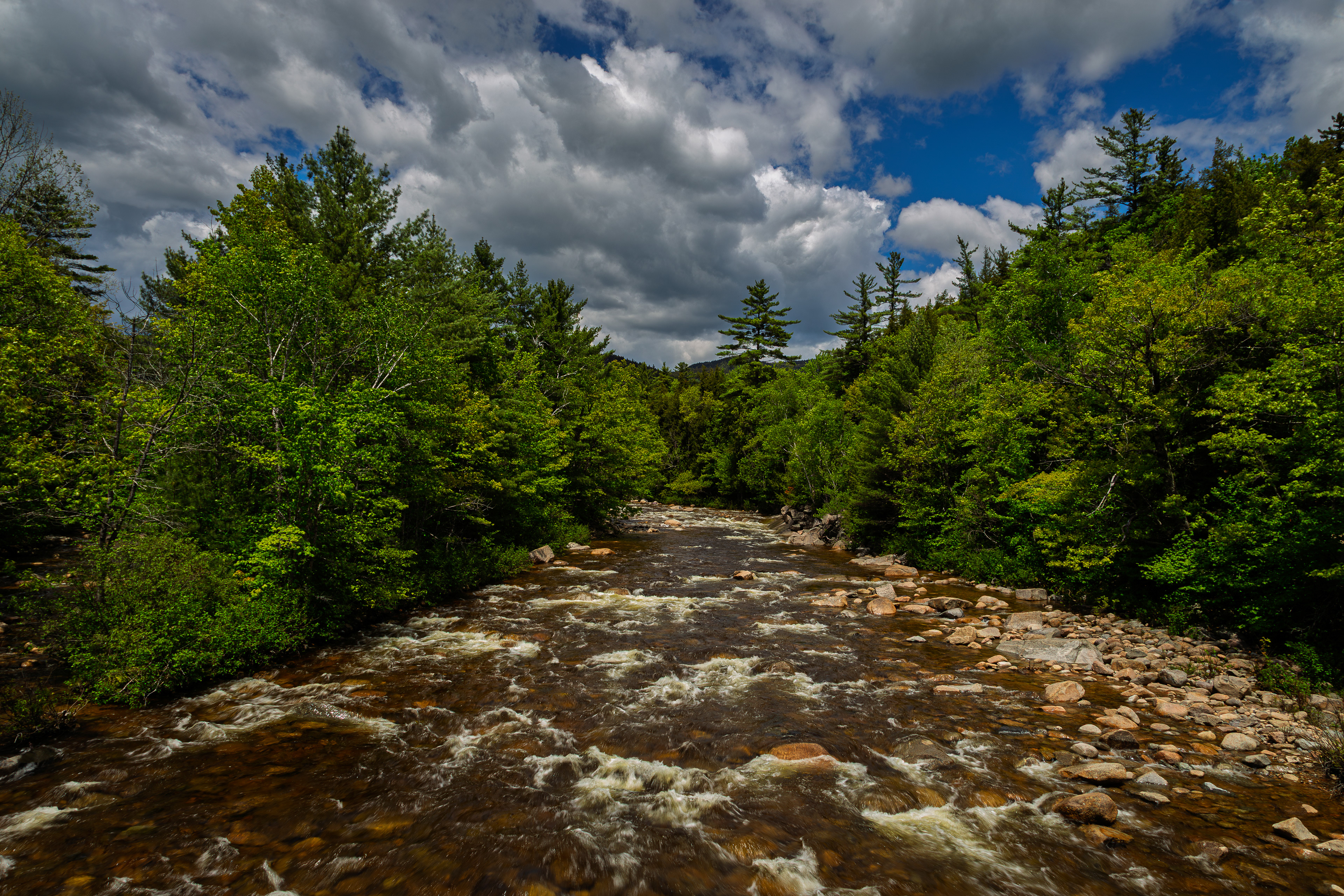 Swift River from Albany Covered Bridge No2