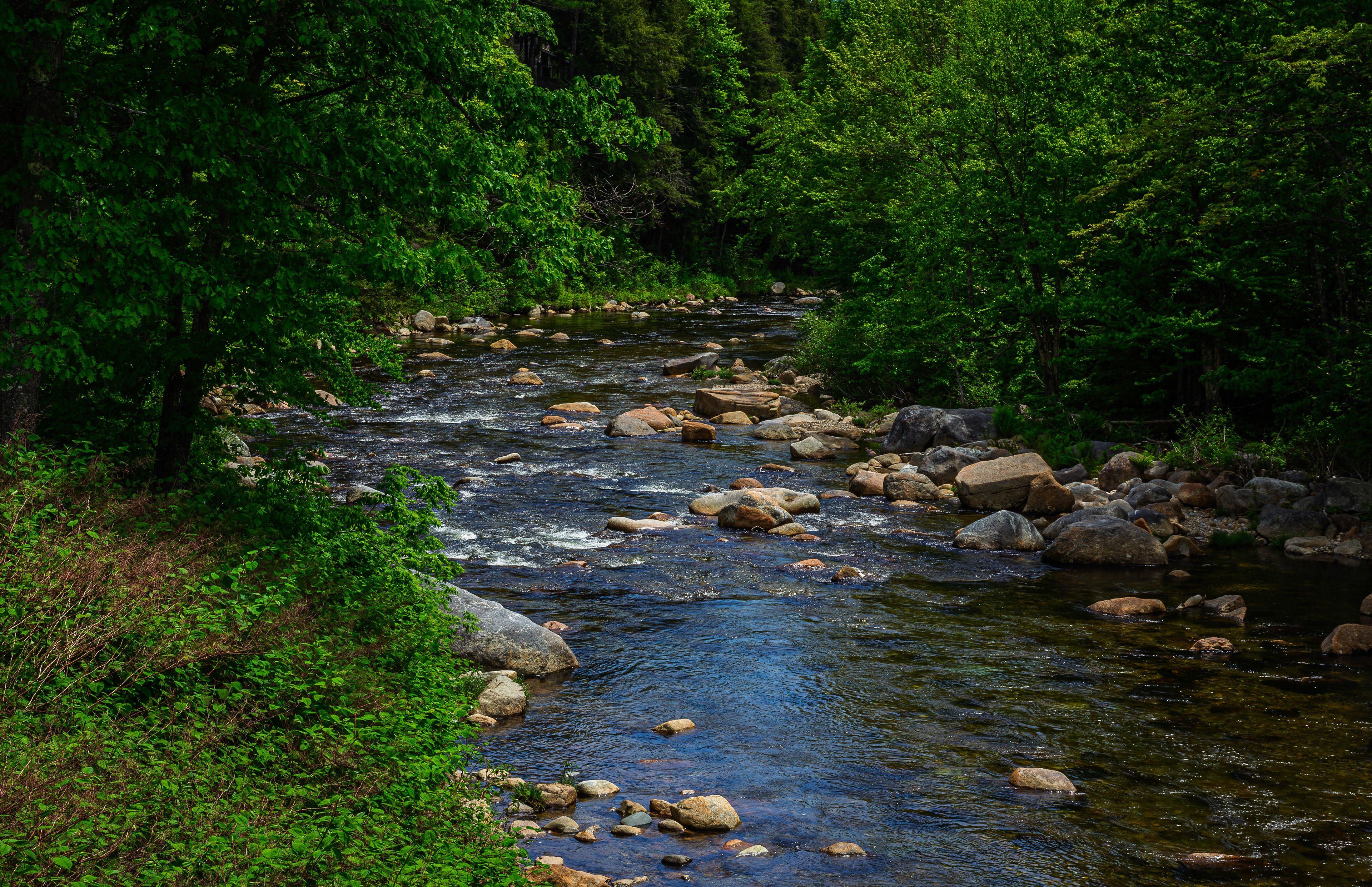 Ellis River No2