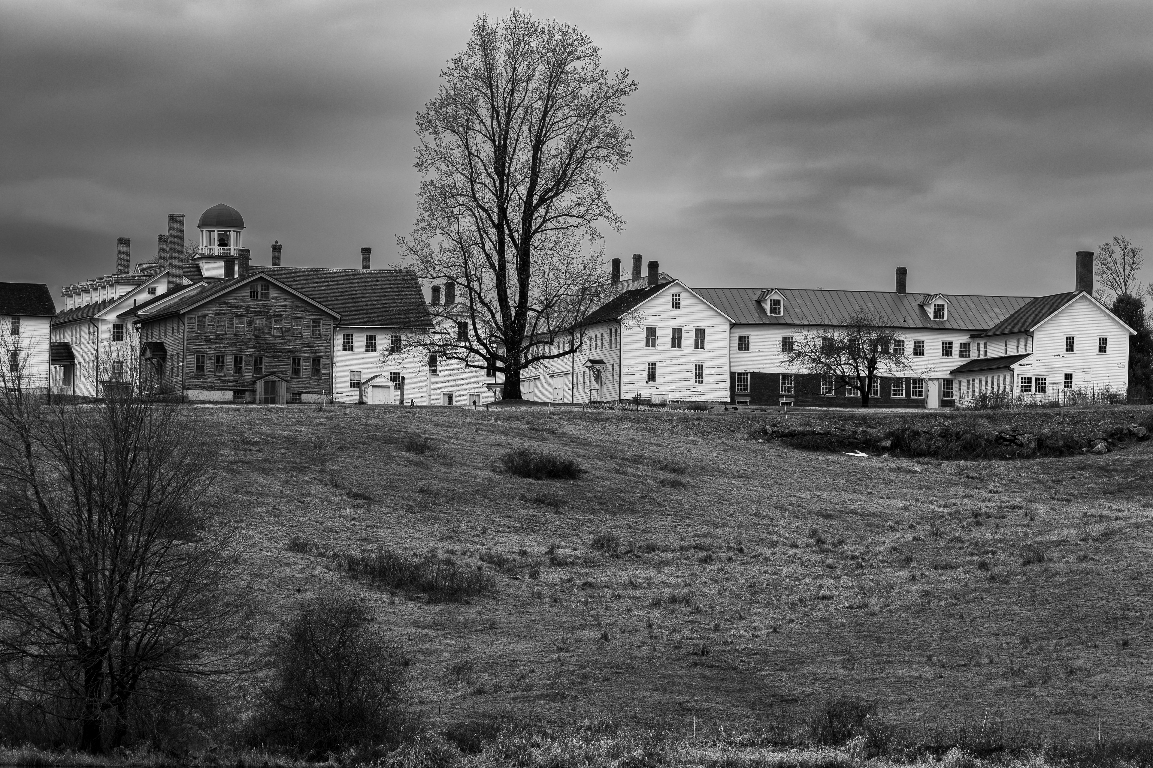 The Village from Turning Mill Pond at CSV
