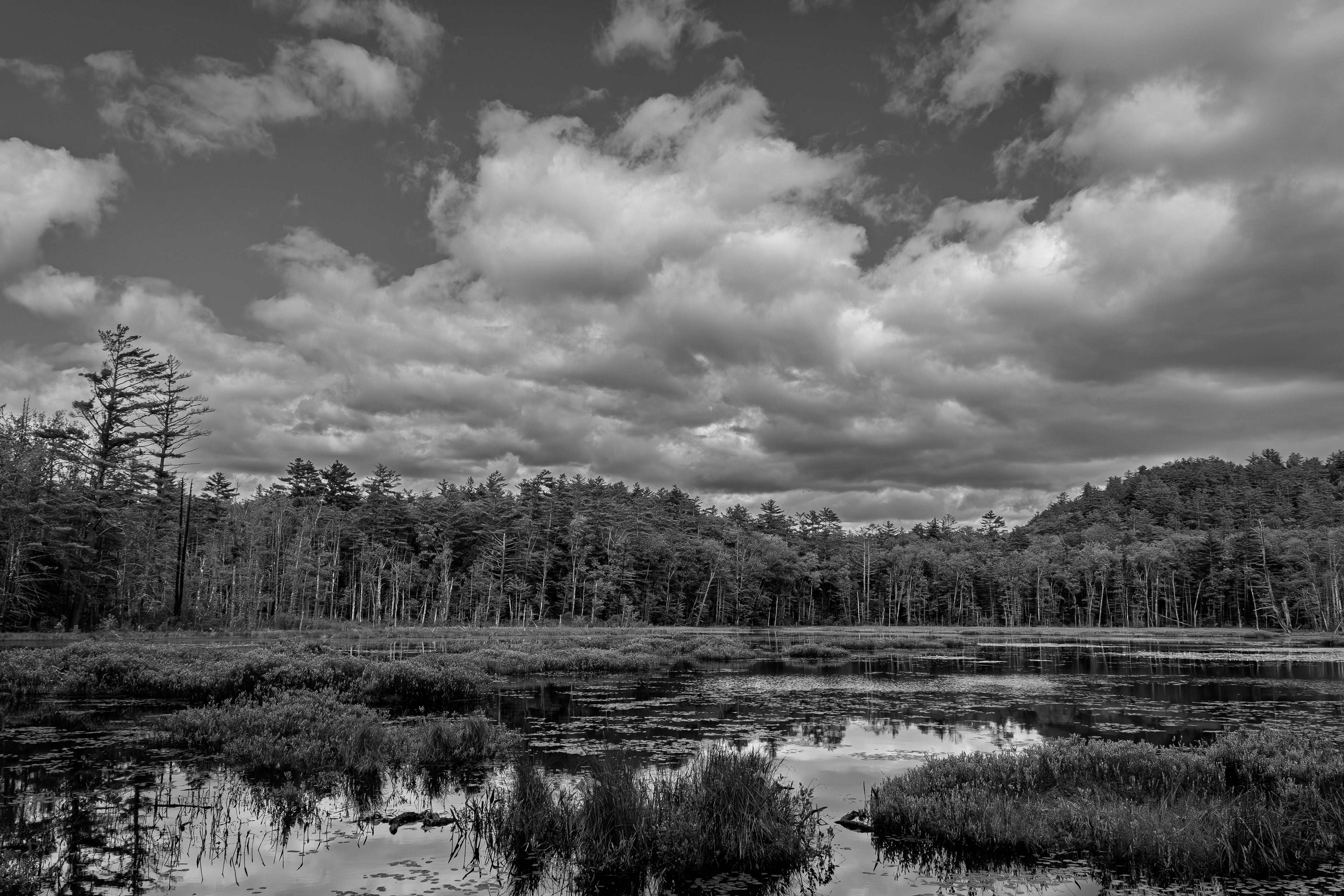 Quincy Bog No2 - May 30, 2026