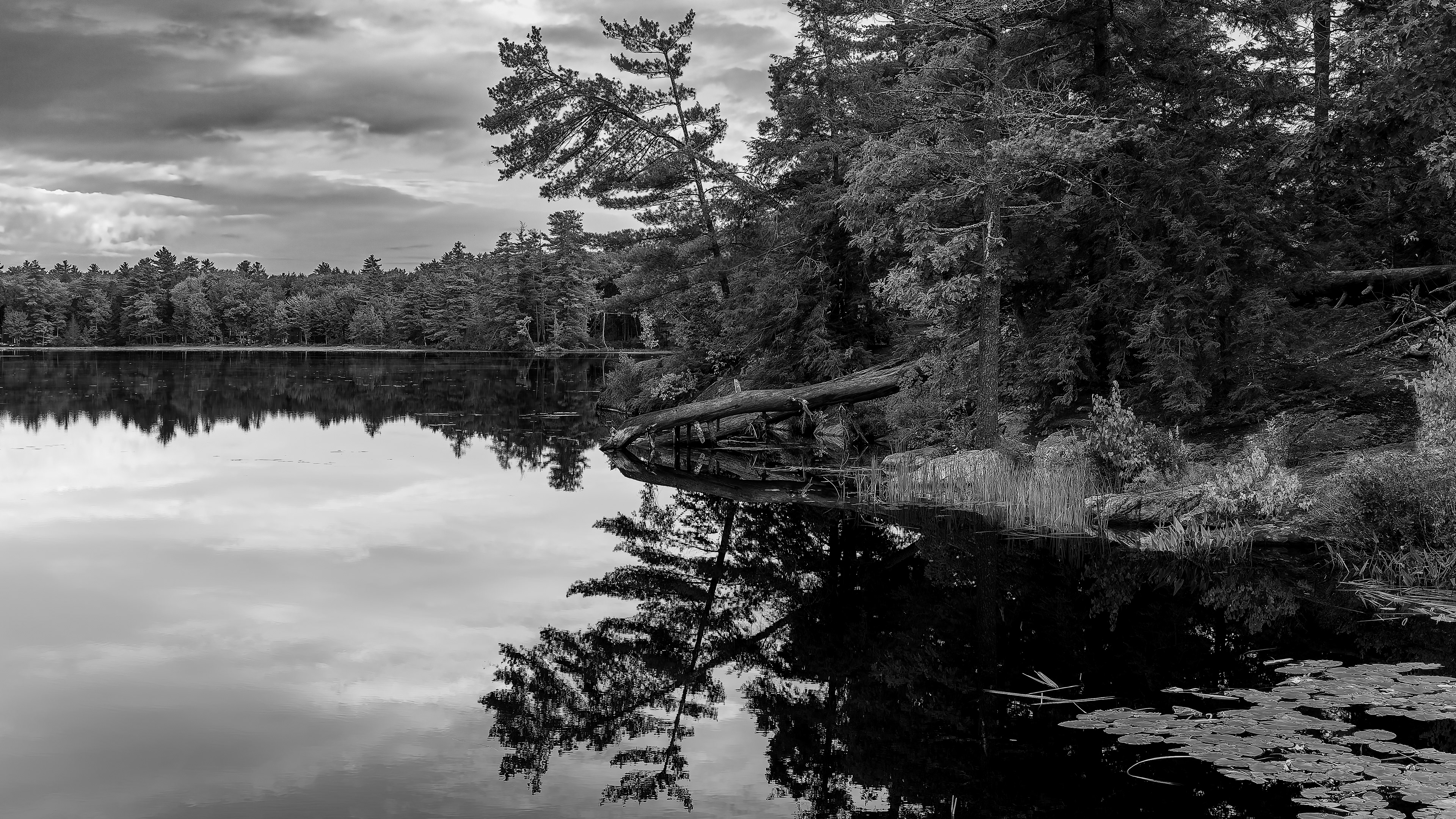 Shellcamp Reflections No2 - September 20, 2026