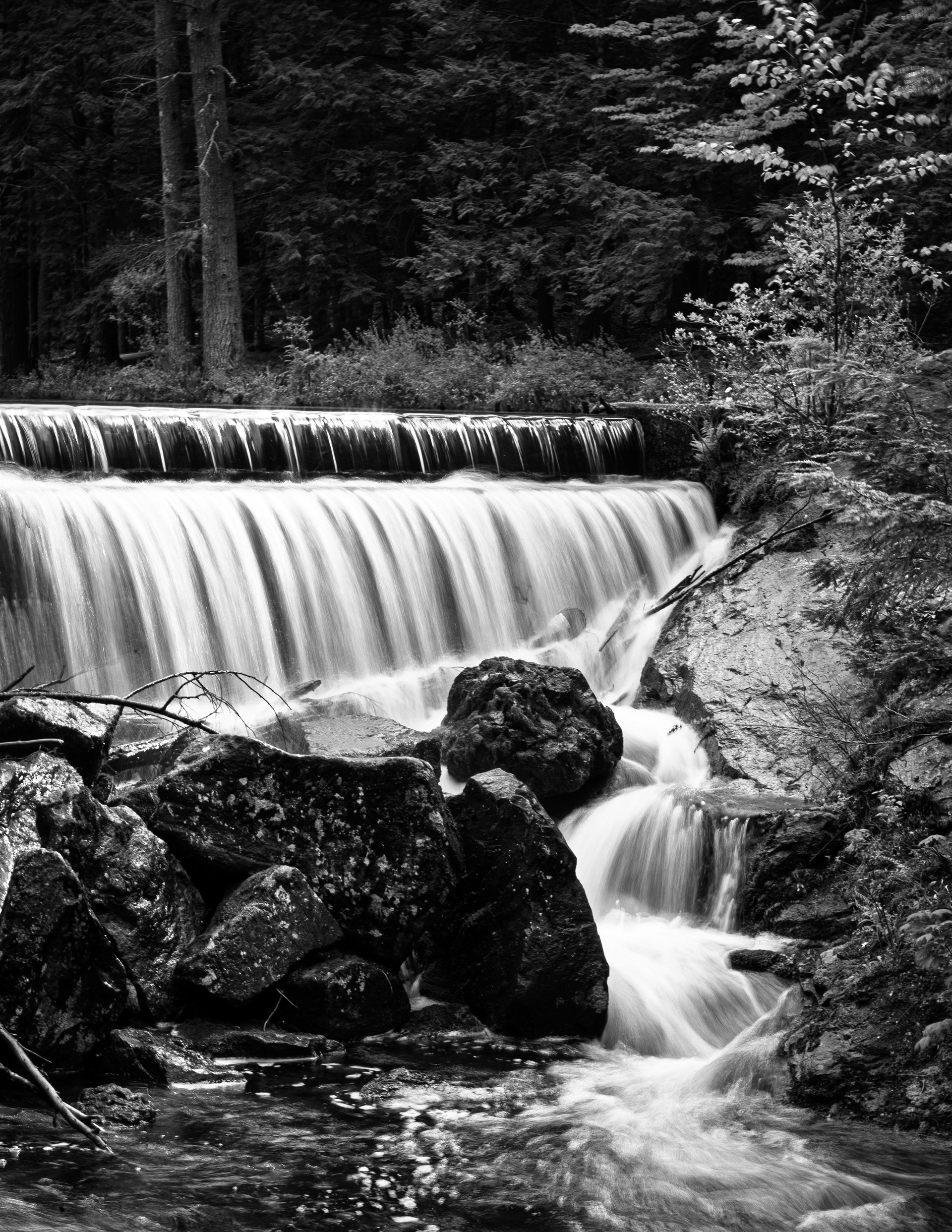 Dam at Meadow Pond No3