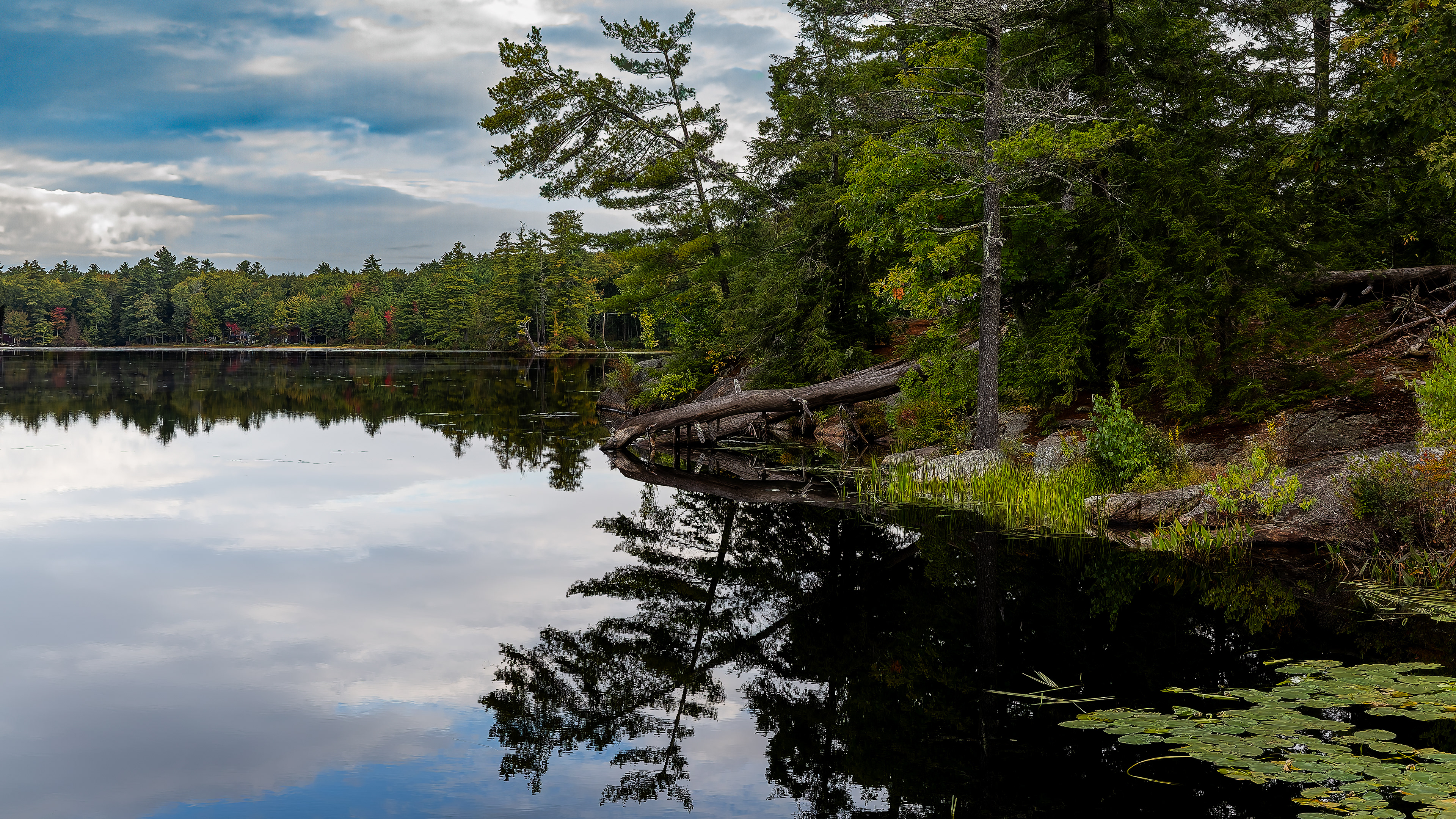 Shellcamp Reflections No2 - September 20, 2026