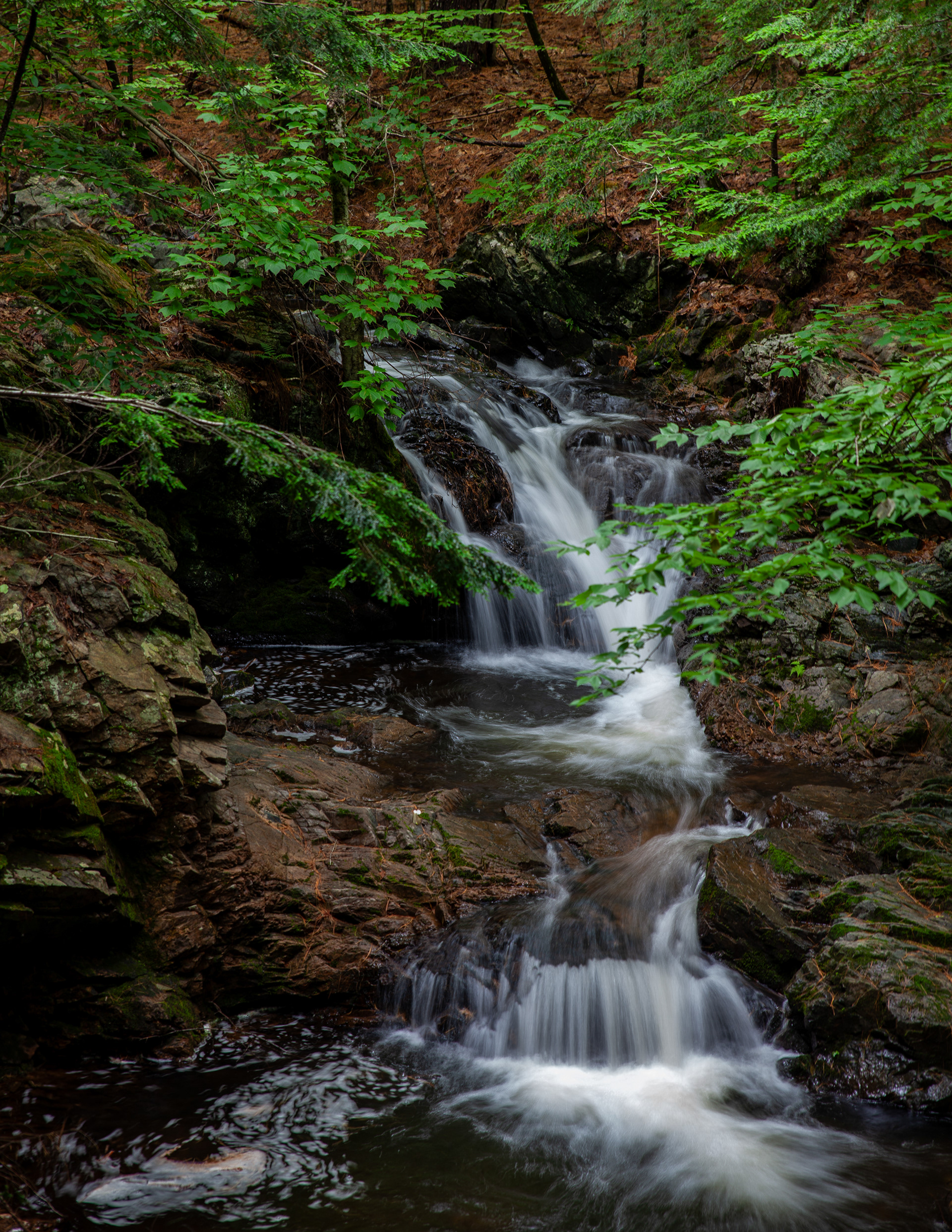 Whittier Falls 2024 No1