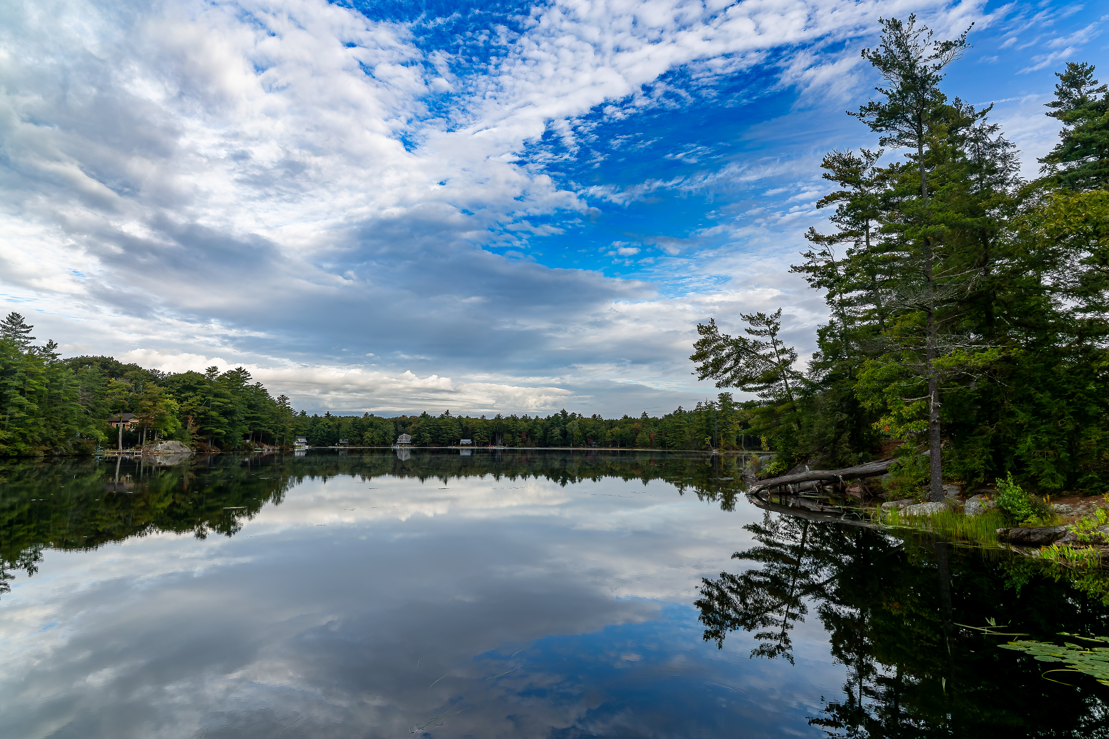 Shellcamp Reflections No1