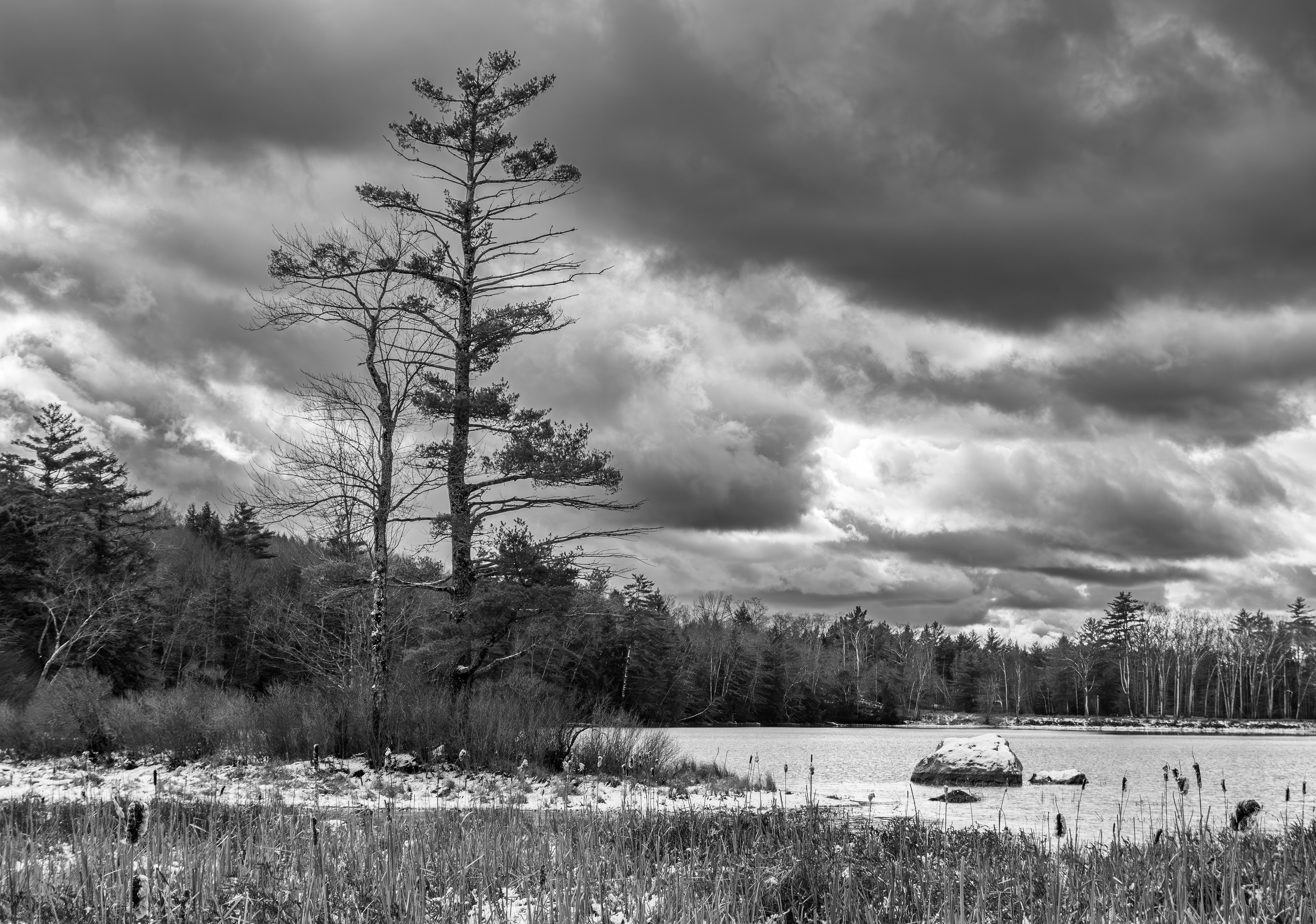 Rollins Pond - November 29, 2024