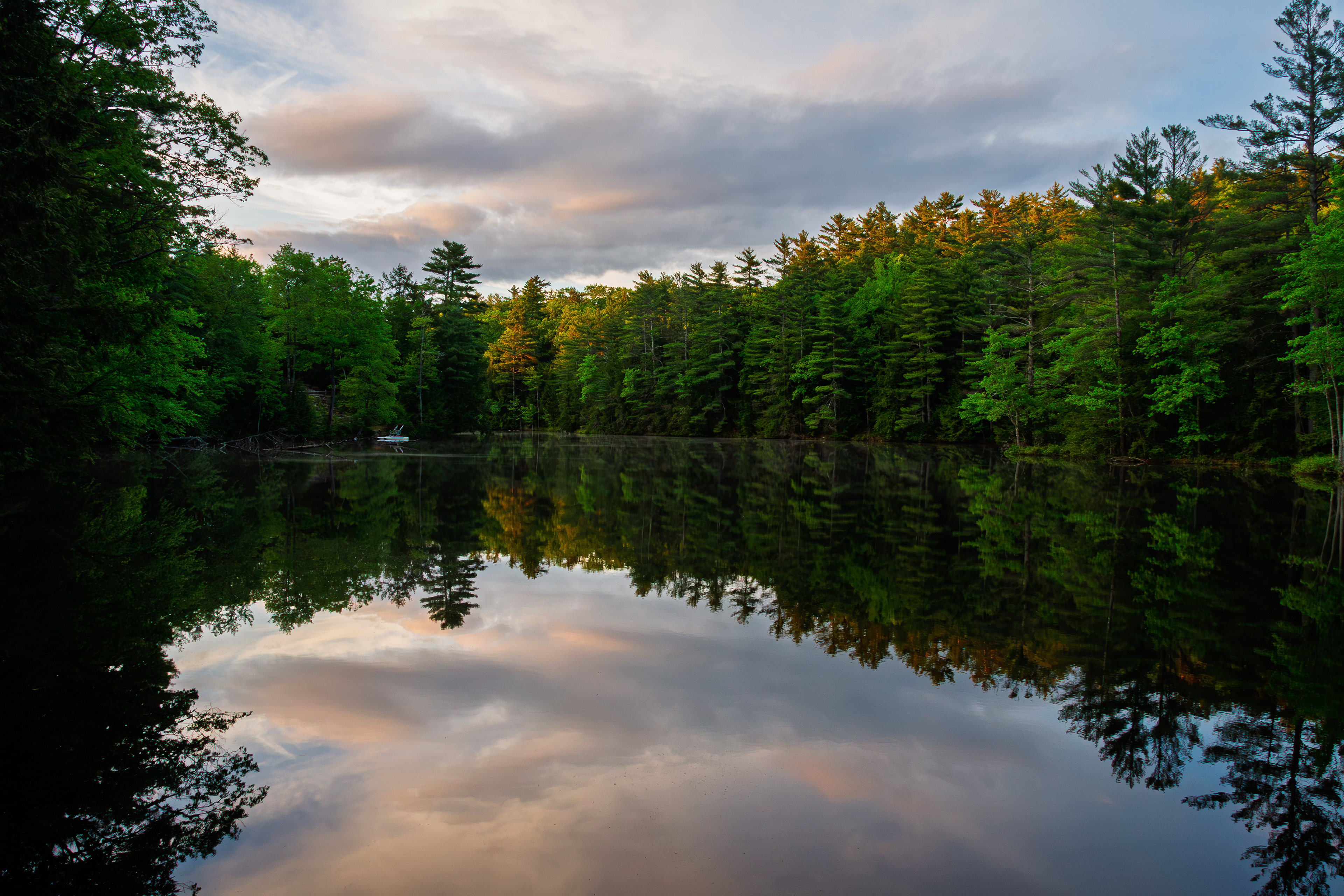 Meadow Pond Reflections No2