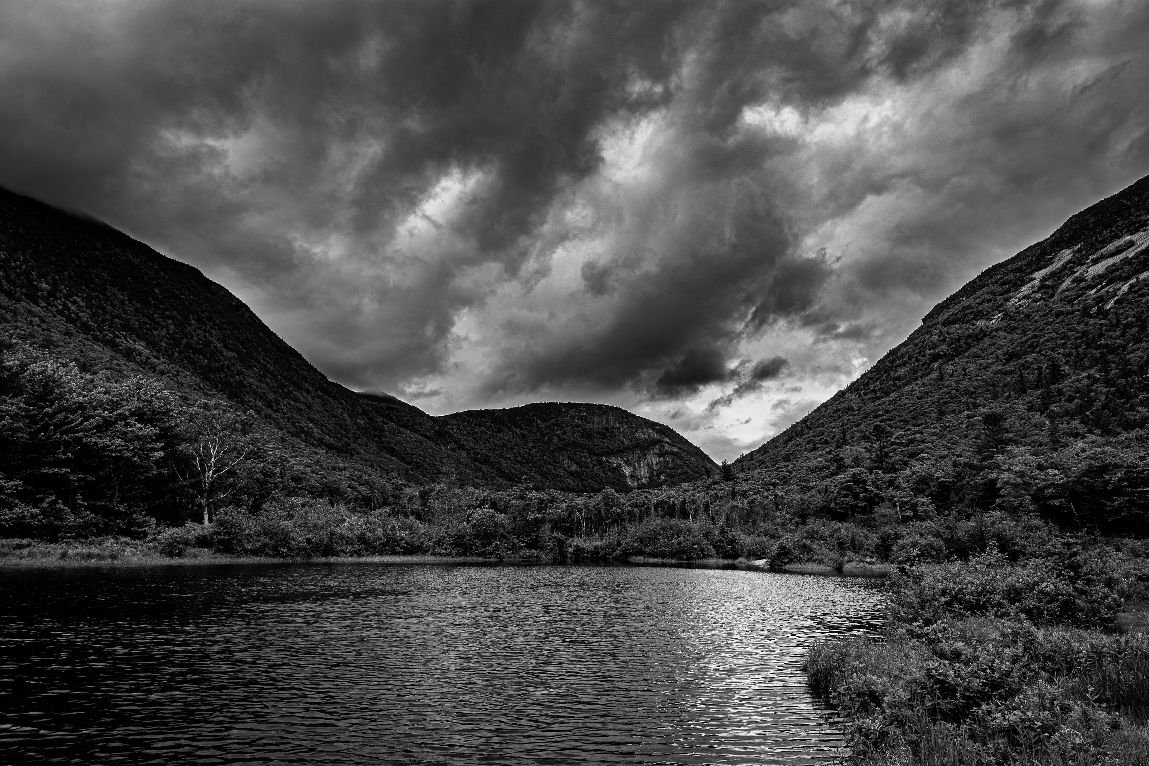 Willey Pond No11