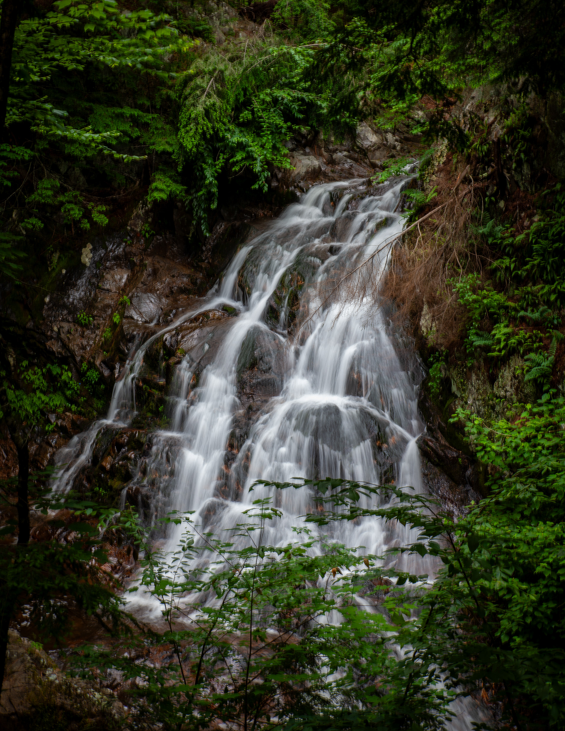 Bridal Veil Falls 2024 No1