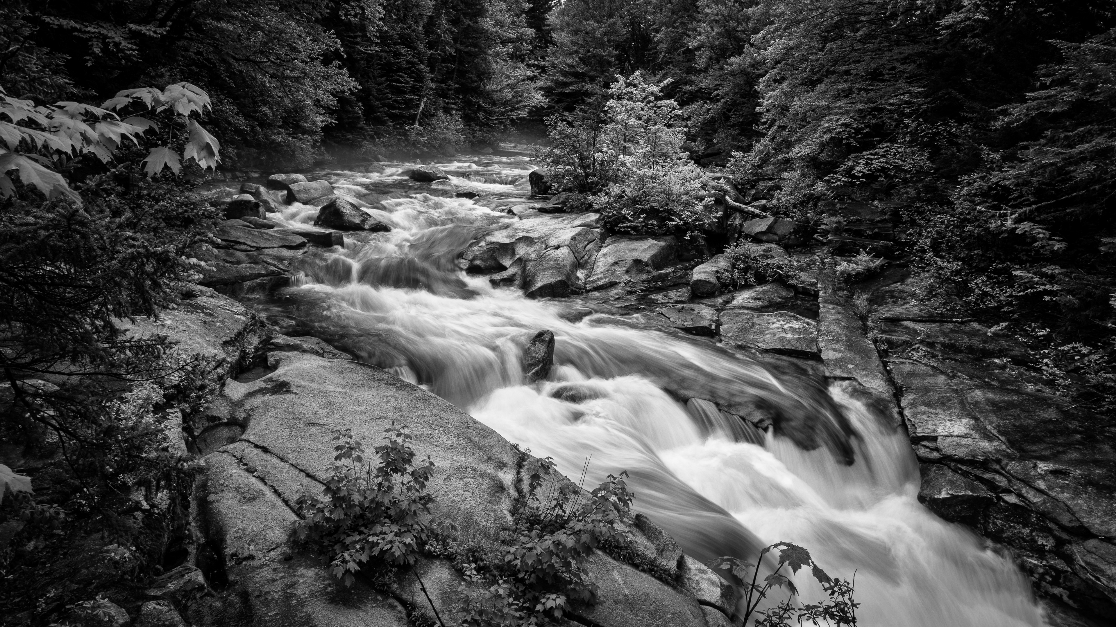 Upper Ammonoosuc Falls No23