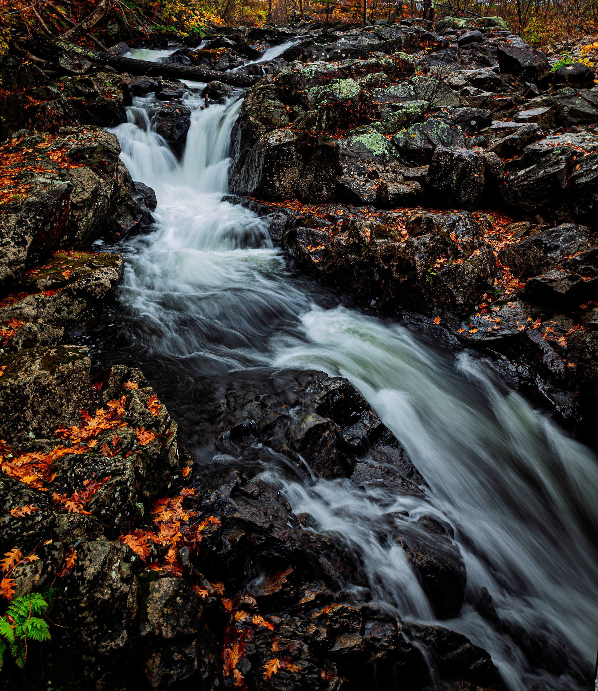 Bristol Falls Park No10