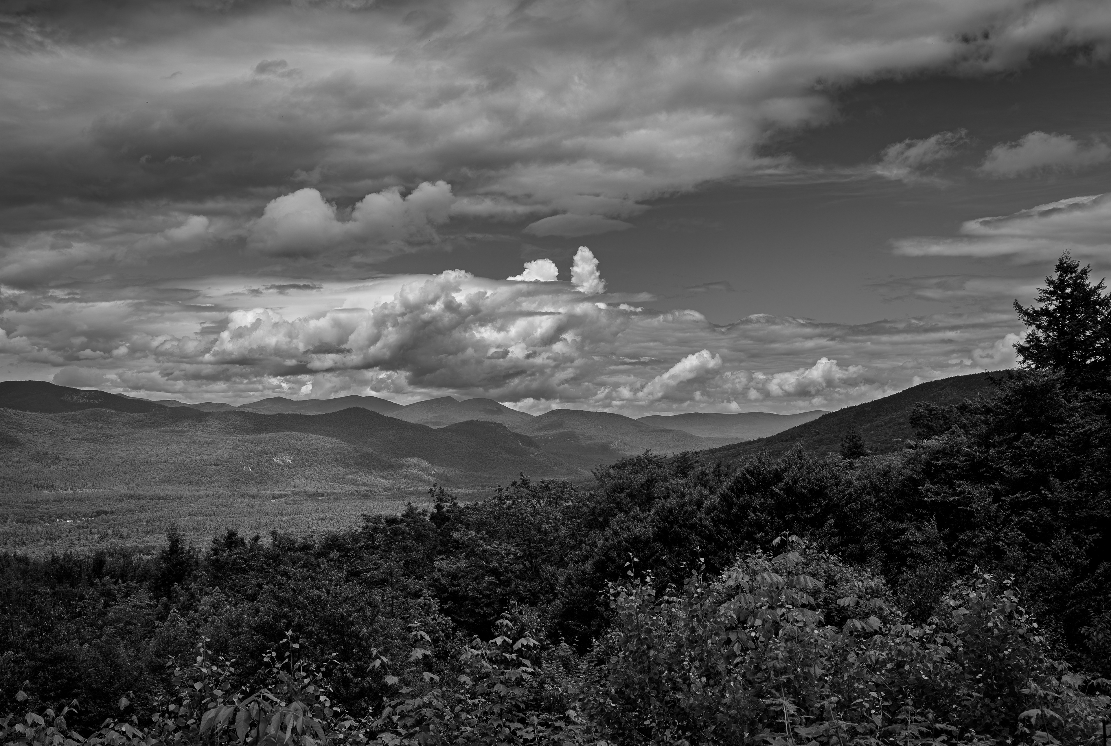 Bear Notch Scenic Vista No9