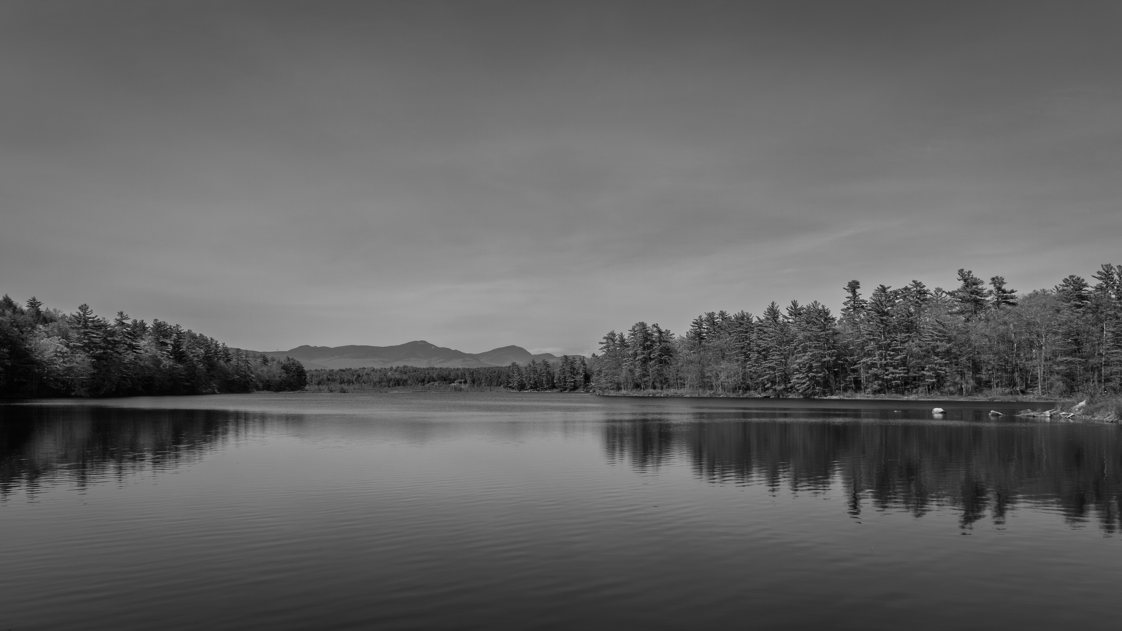 Berry Pond in Black & White