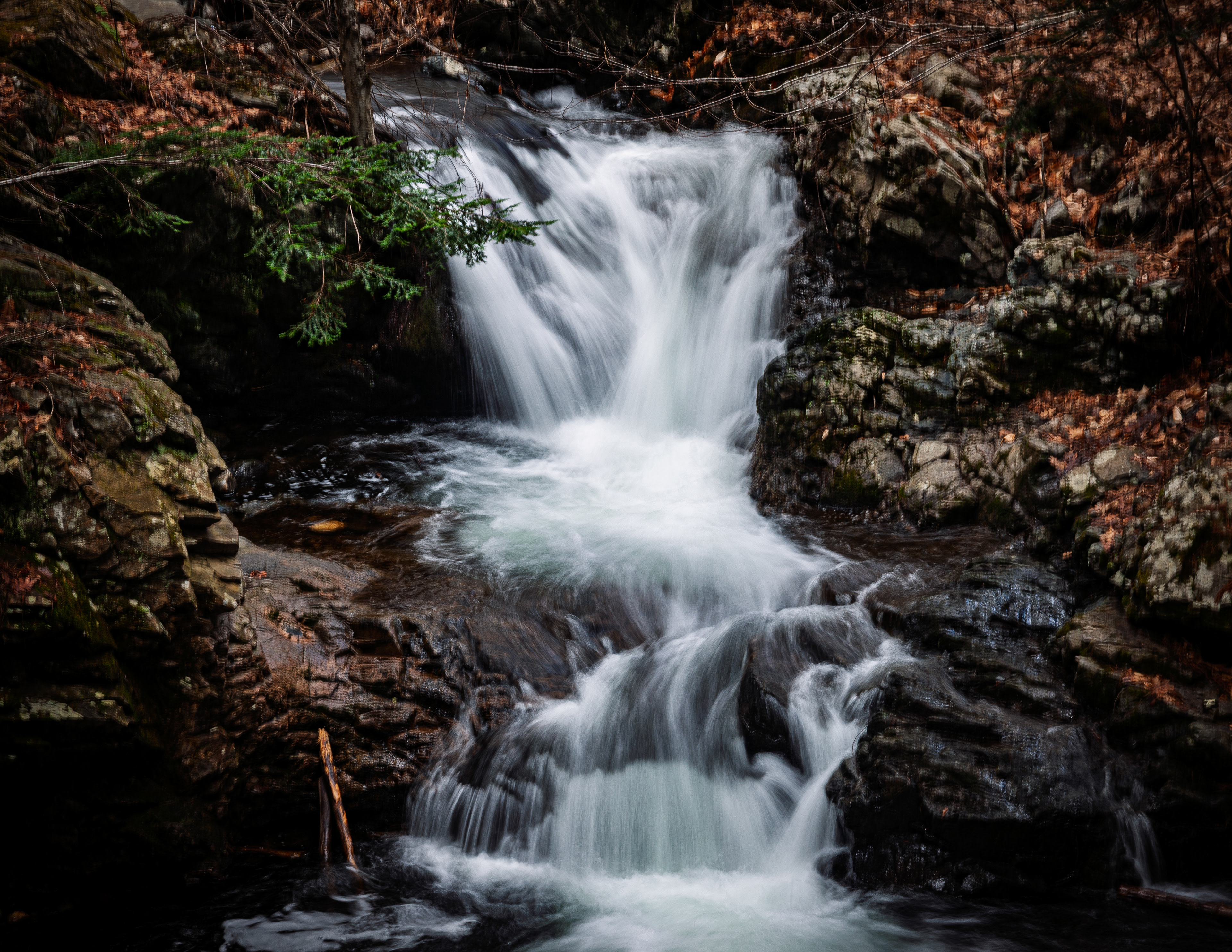 CITC Brook Walk - Whittier Falls No20