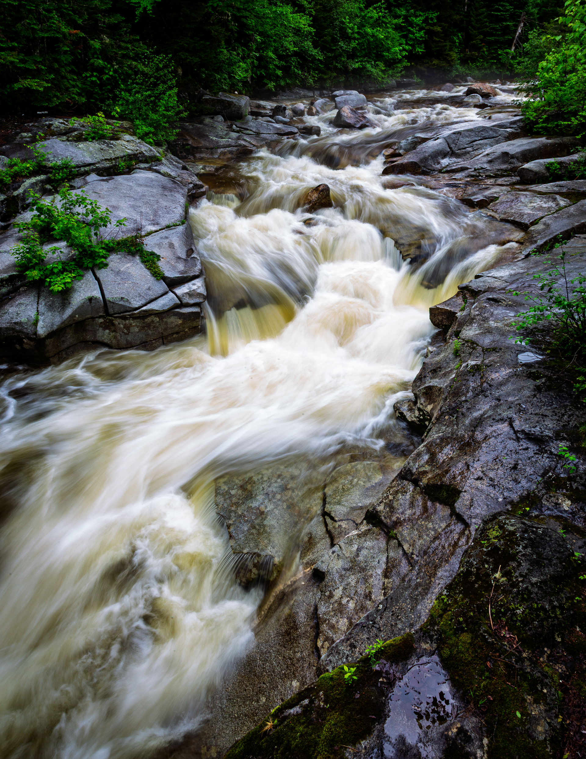 Upper Ammonoosuc Falls No20