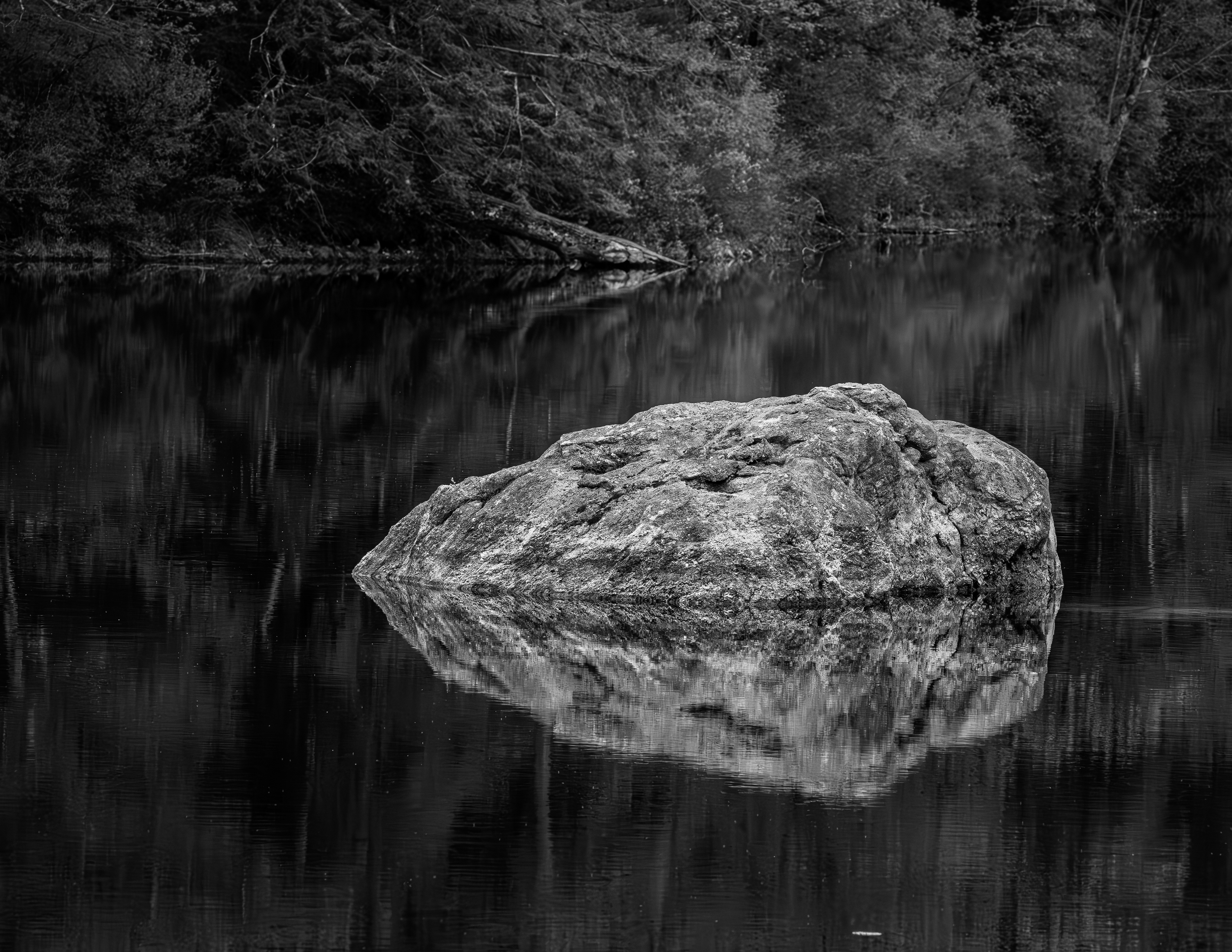 Boulder in Rollins Pond in Black & White