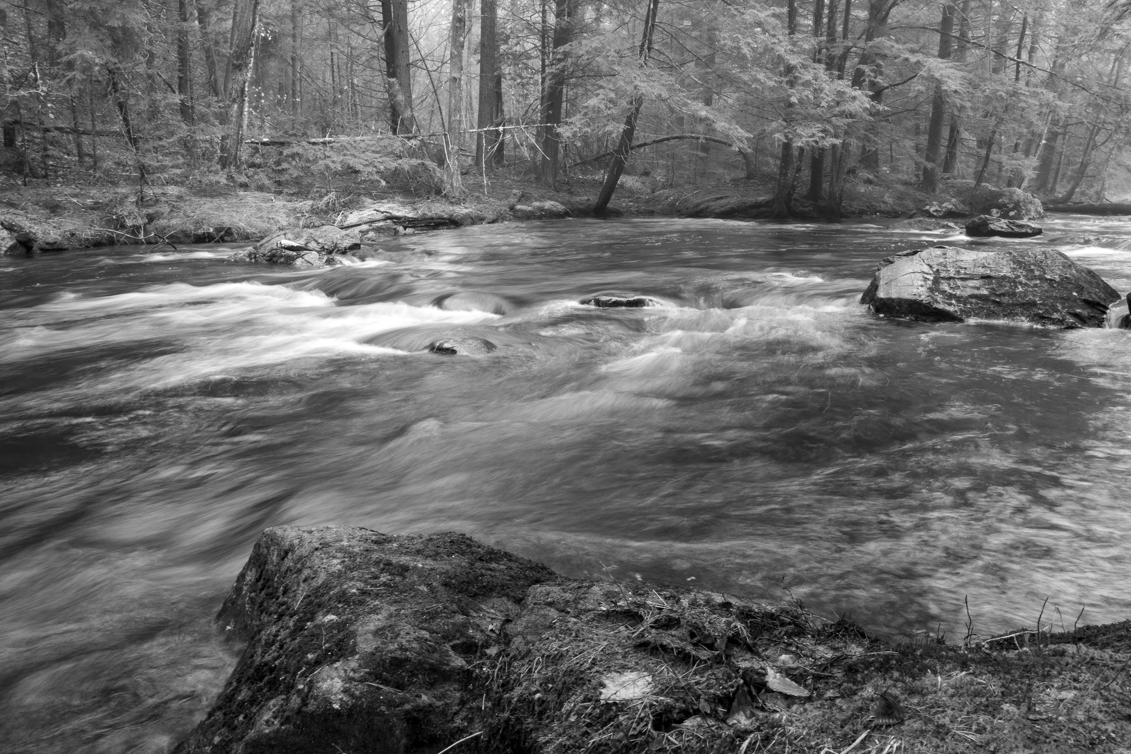 Academy Brook No1