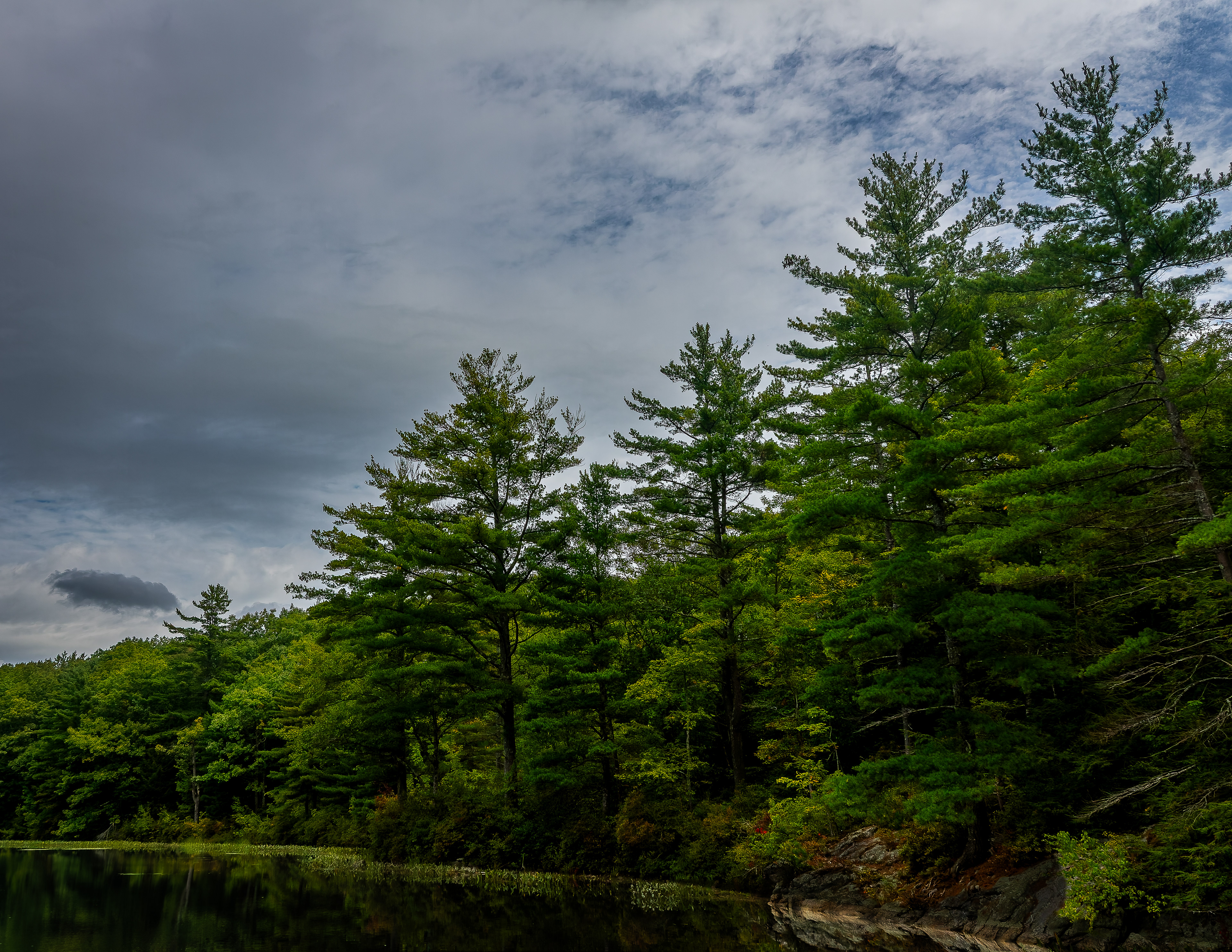 Meetinghouse Pond No11