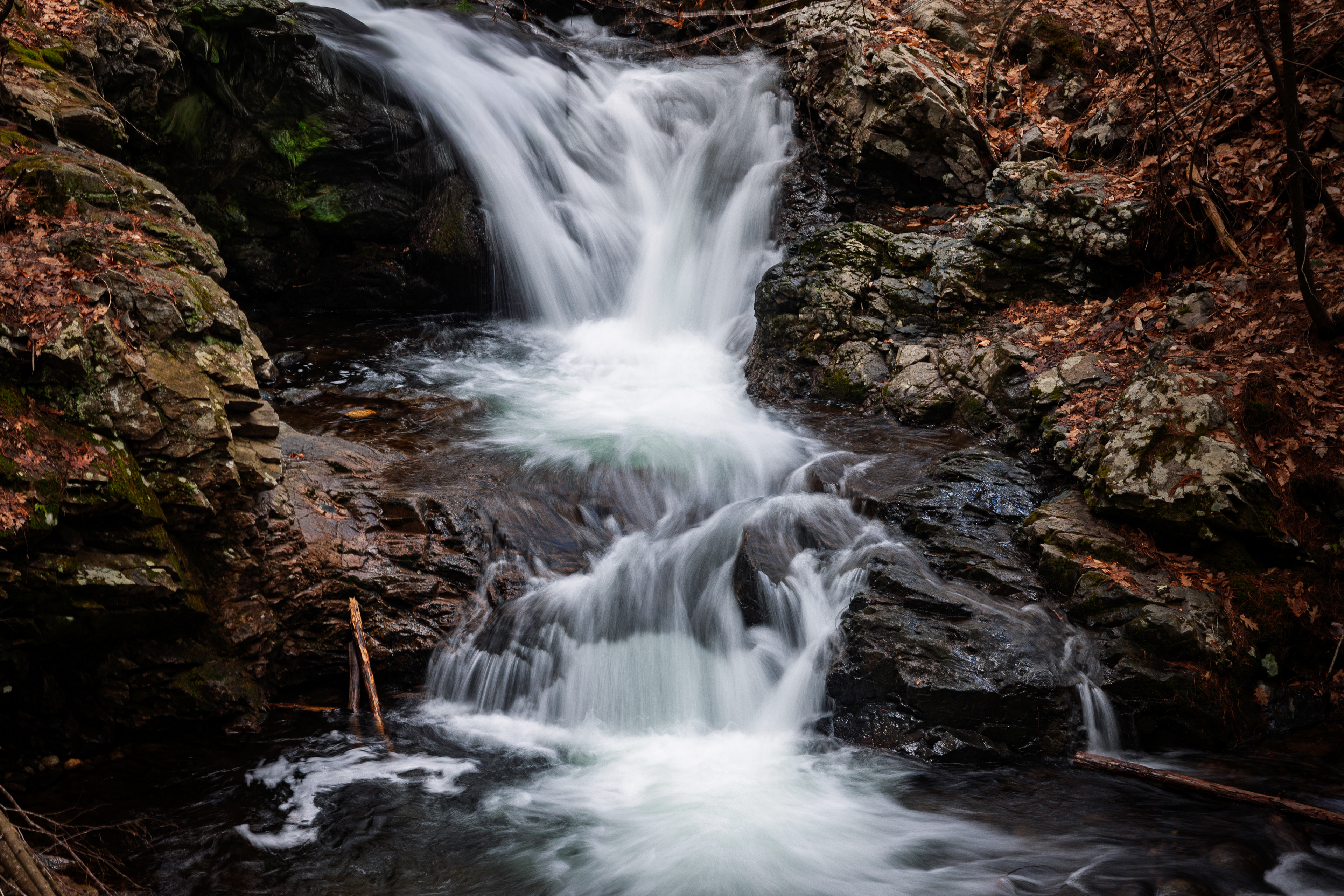 CITC Brook Walk - Whittier Falls No18