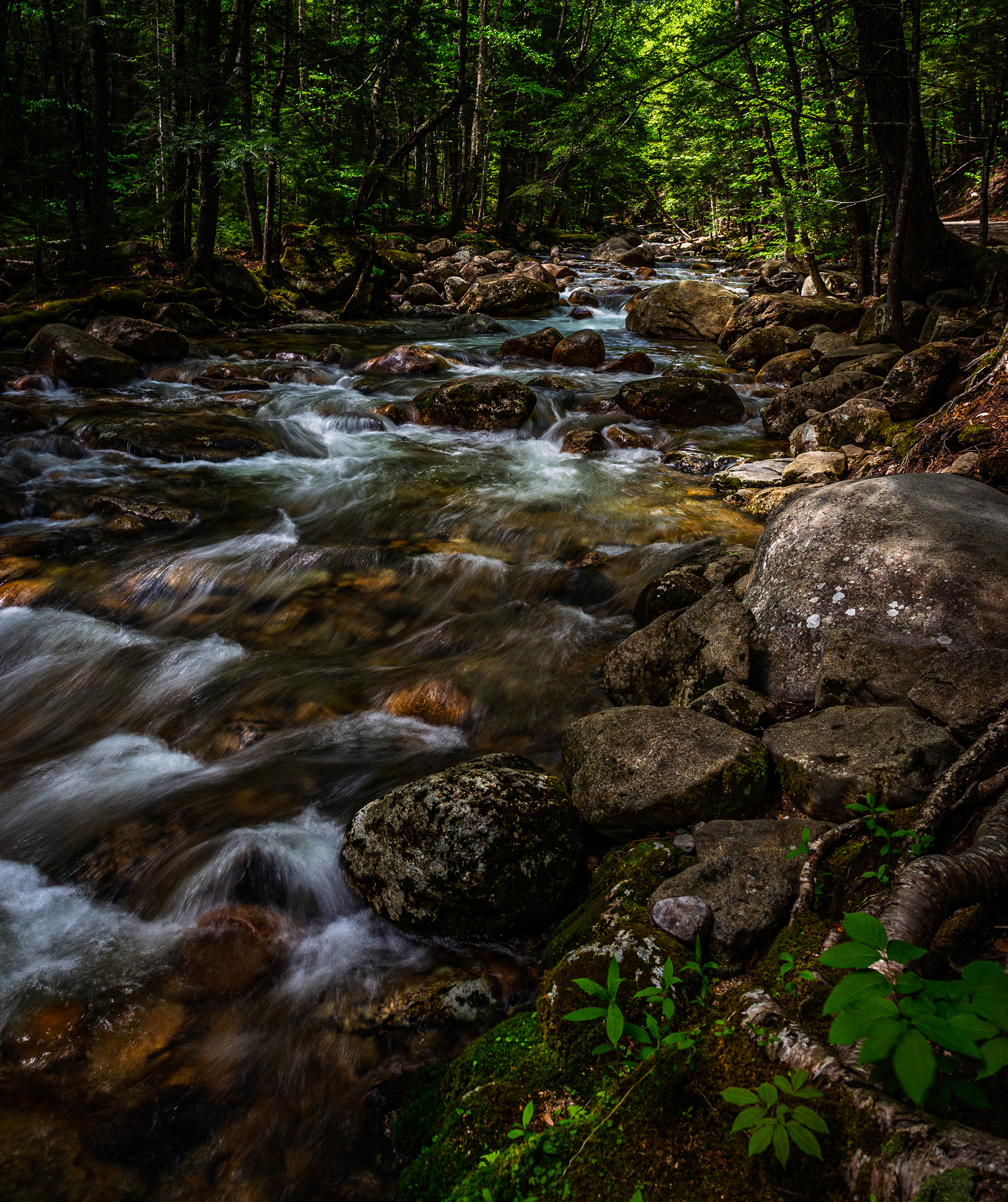 Sabbaday Brook No2