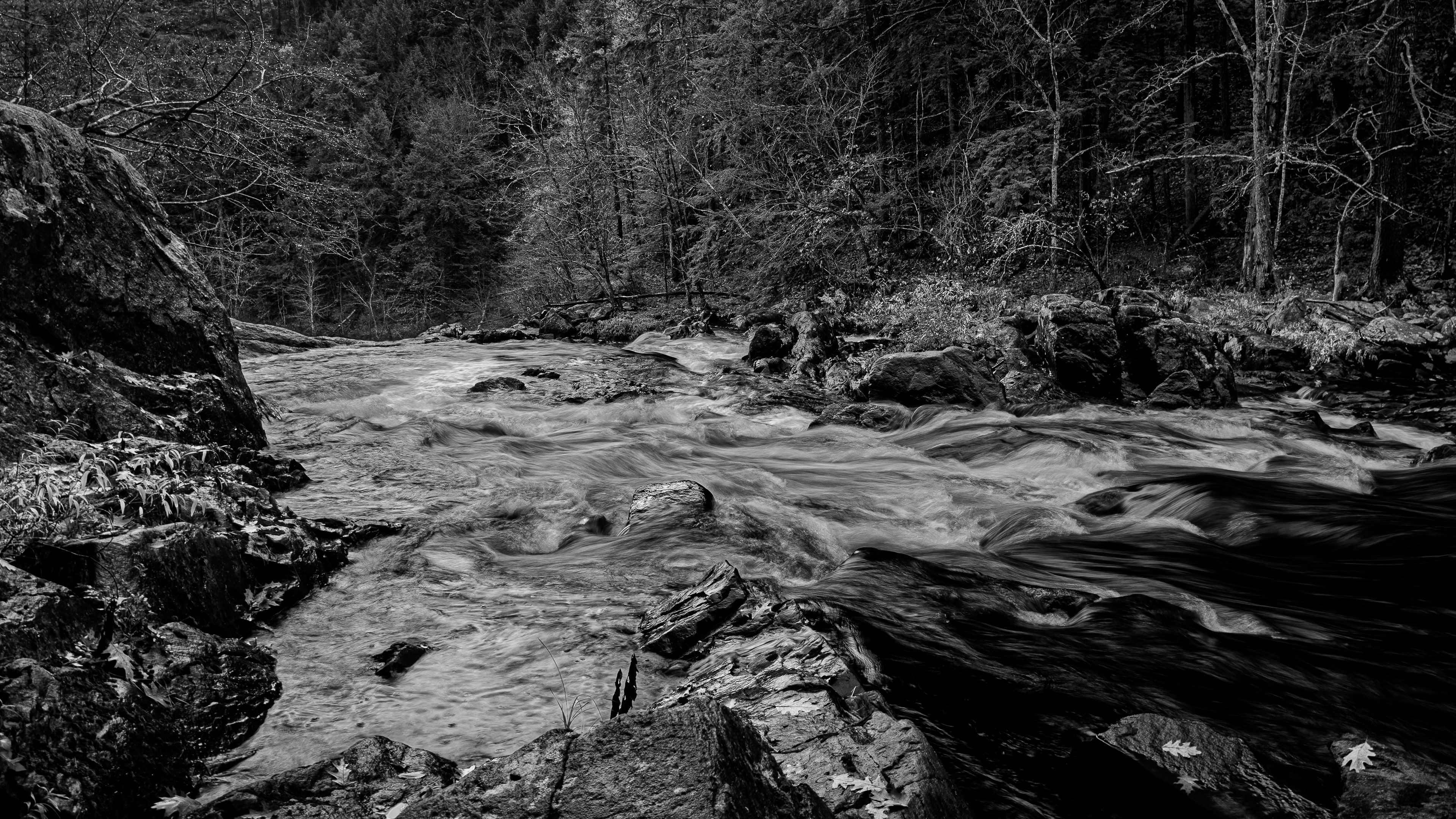 Smith River BW2
