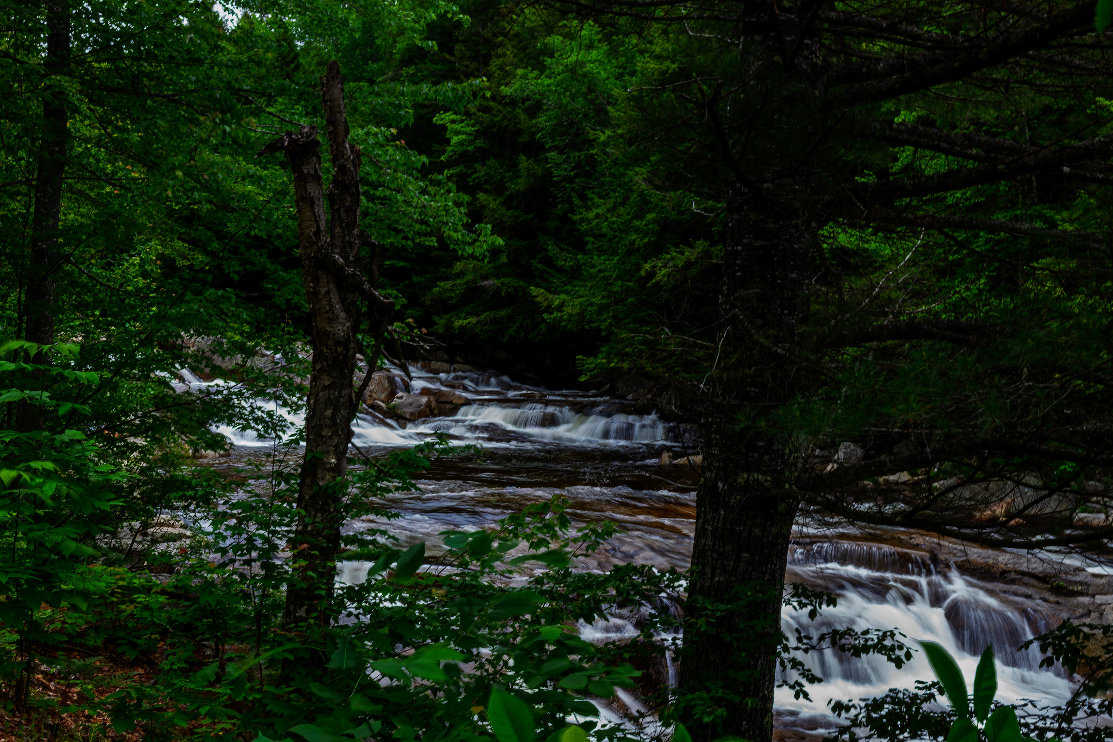 Jackson Falls 32