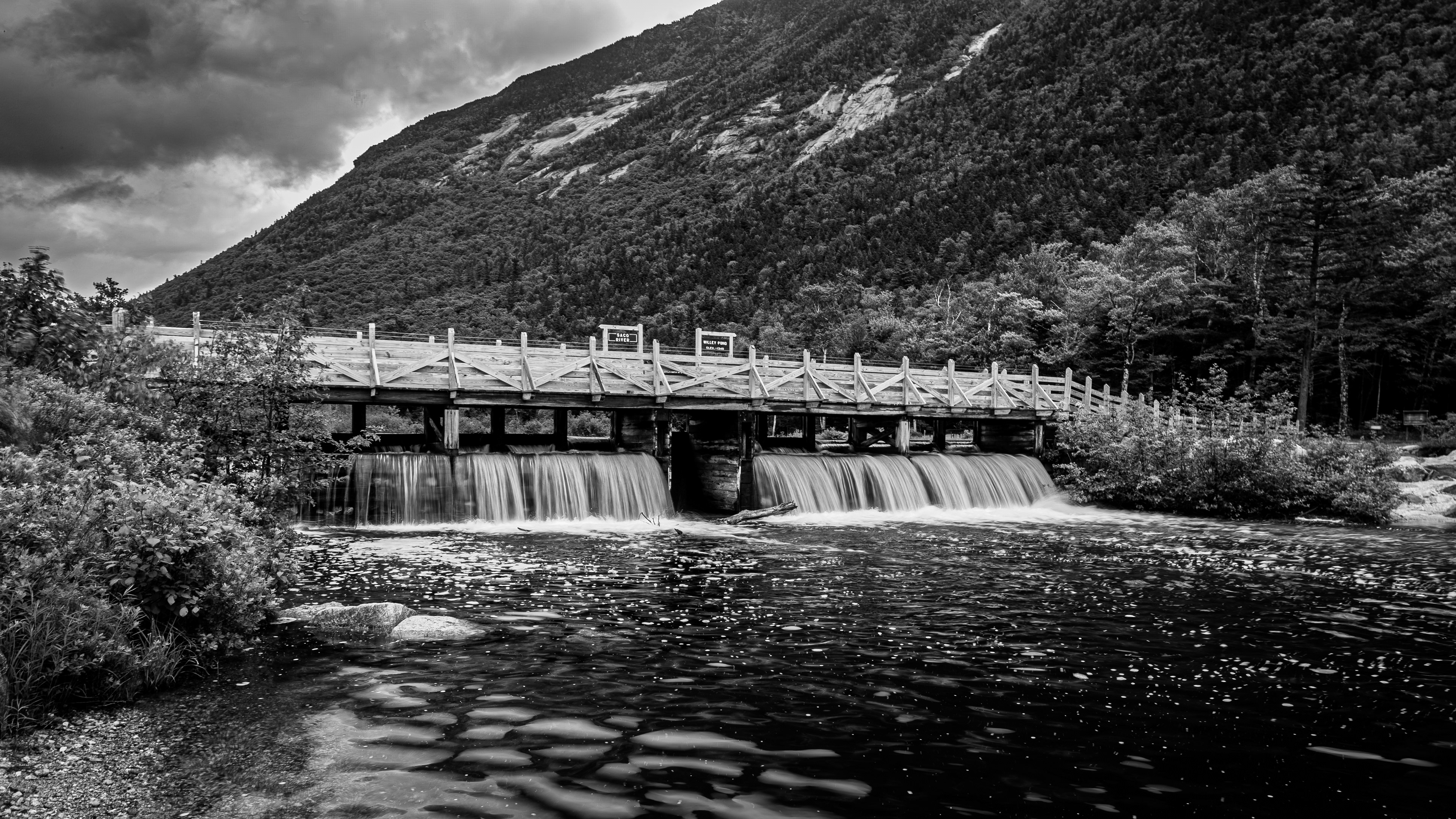Dickerman's Dam No1