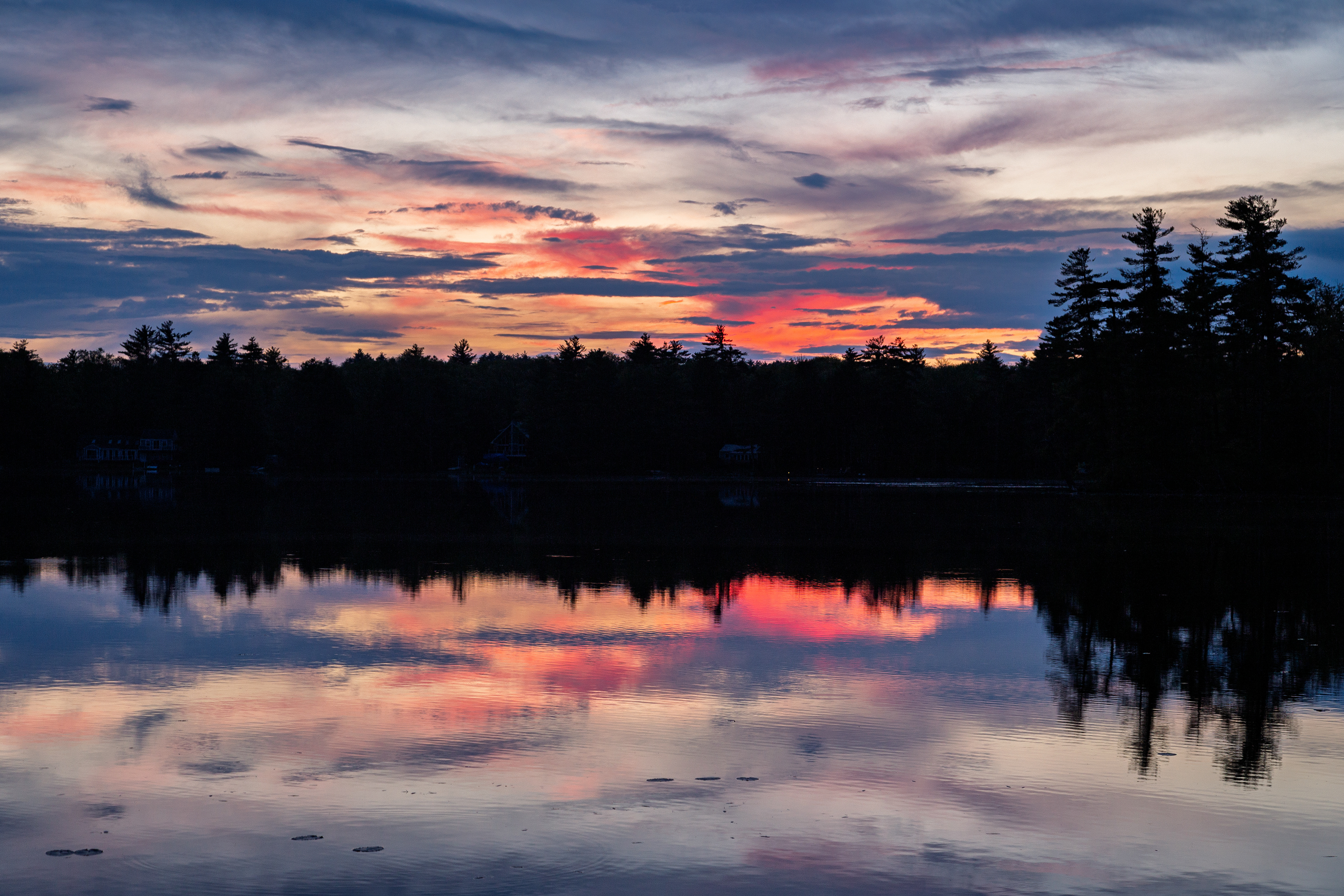 Shellcamp Afterglow No5