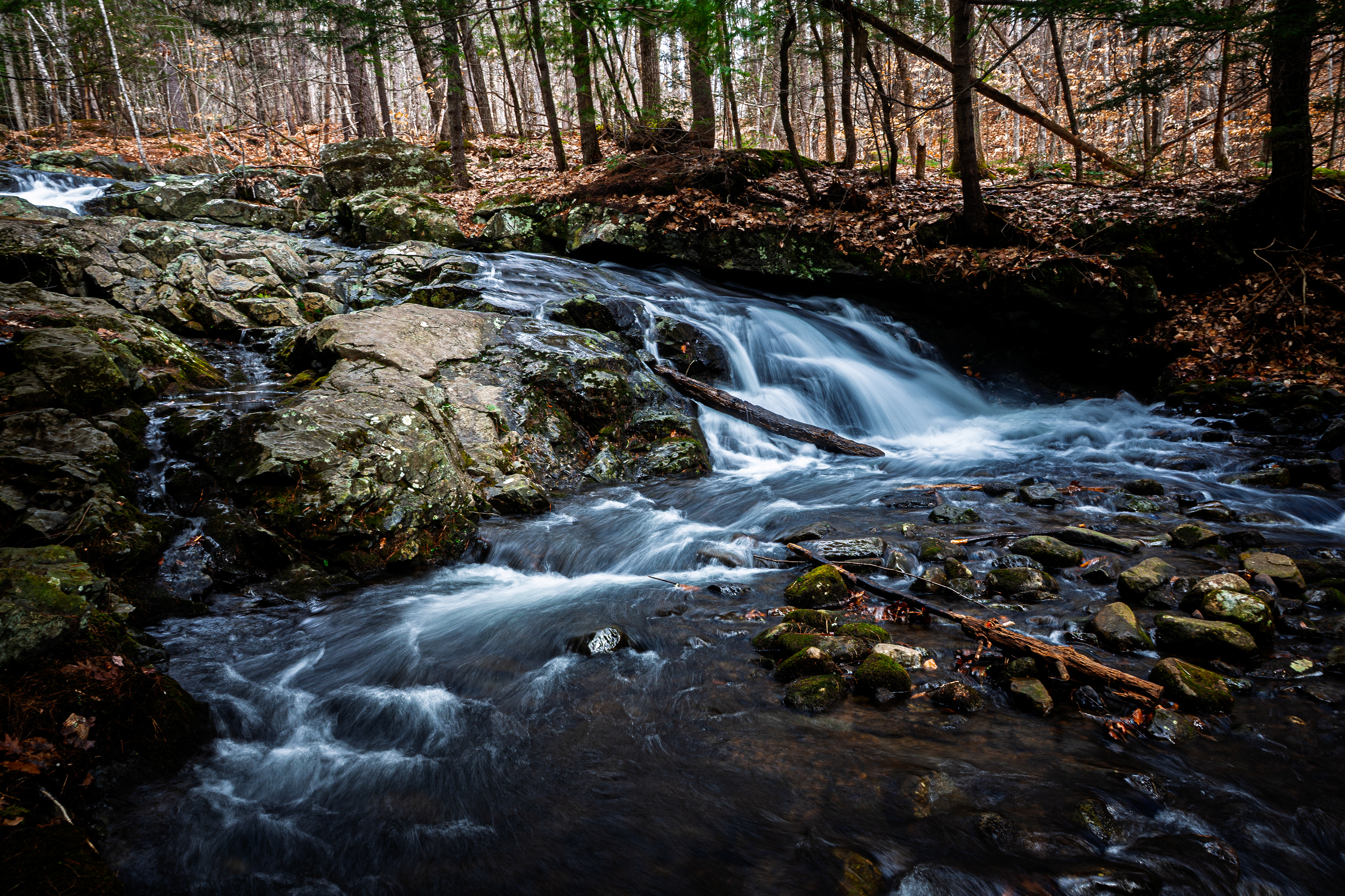 CITC Brook Walk - Unnamed Cascade No16
