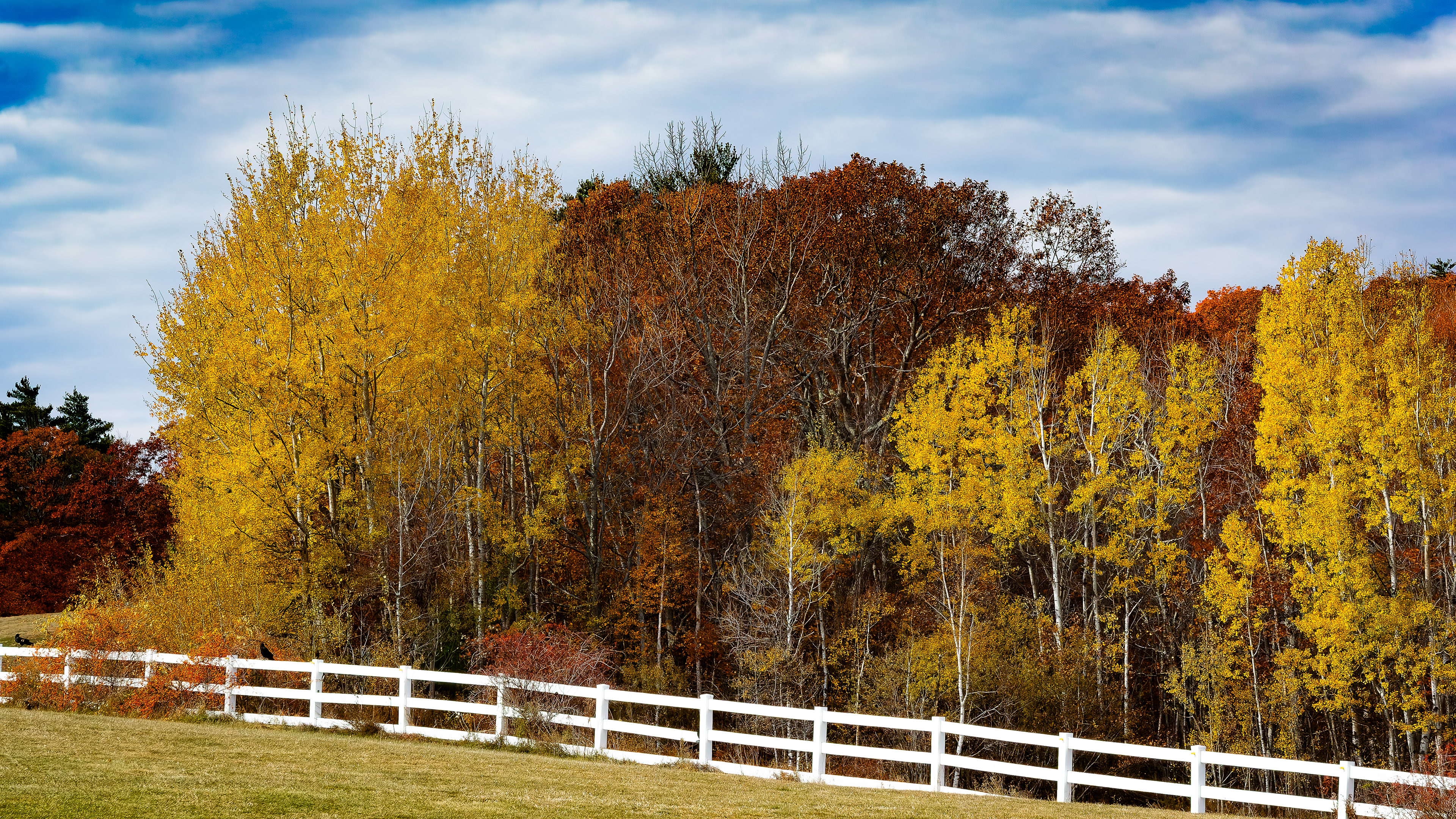 Autumn Color at Castle in the Clouds No1