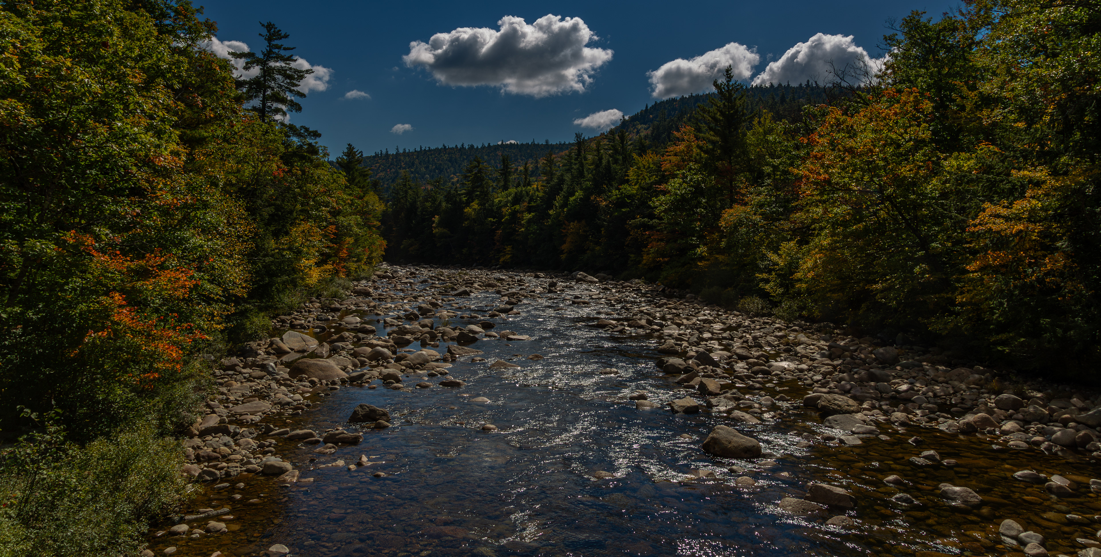 View Downstream from Albany Covered Bridge