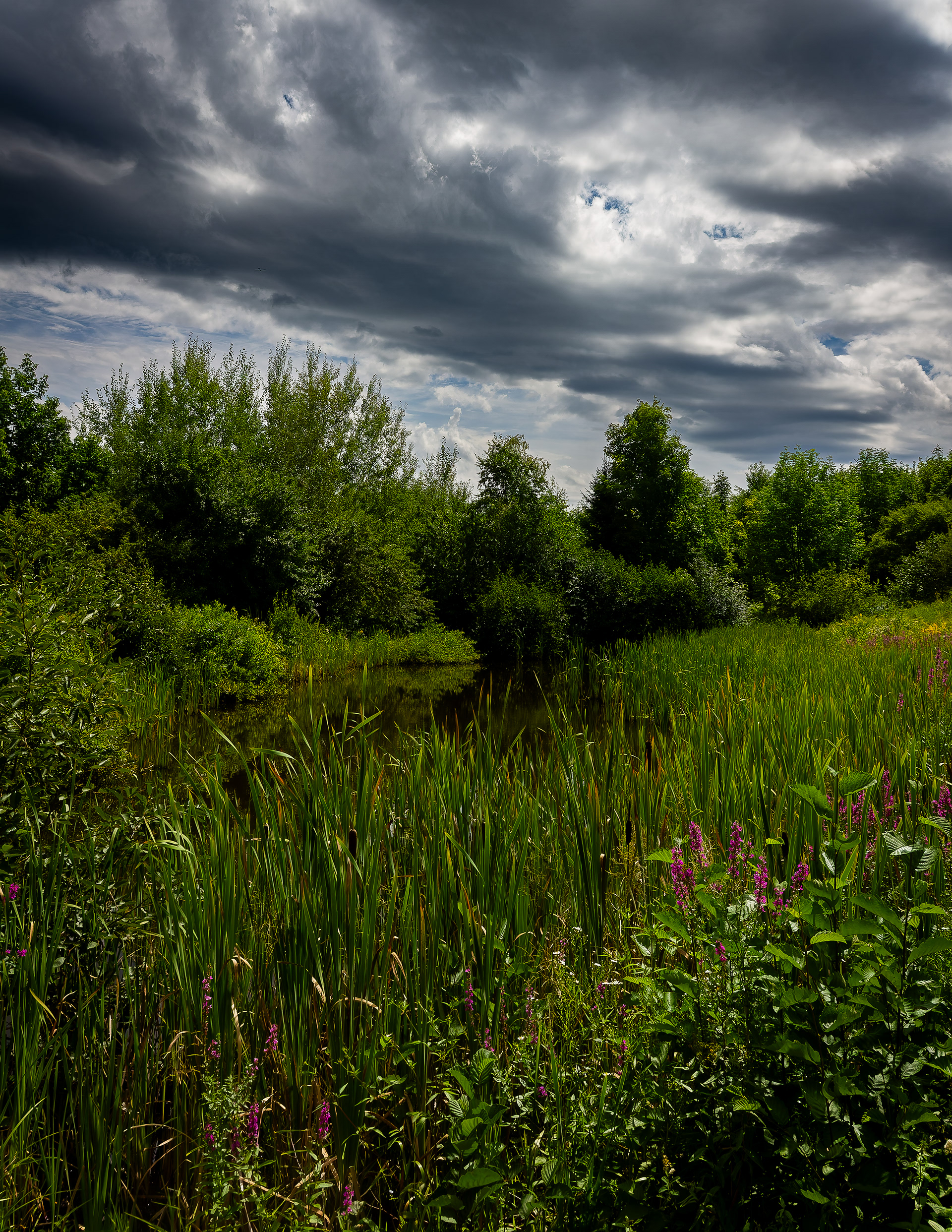 Sugar Hill Pond No2