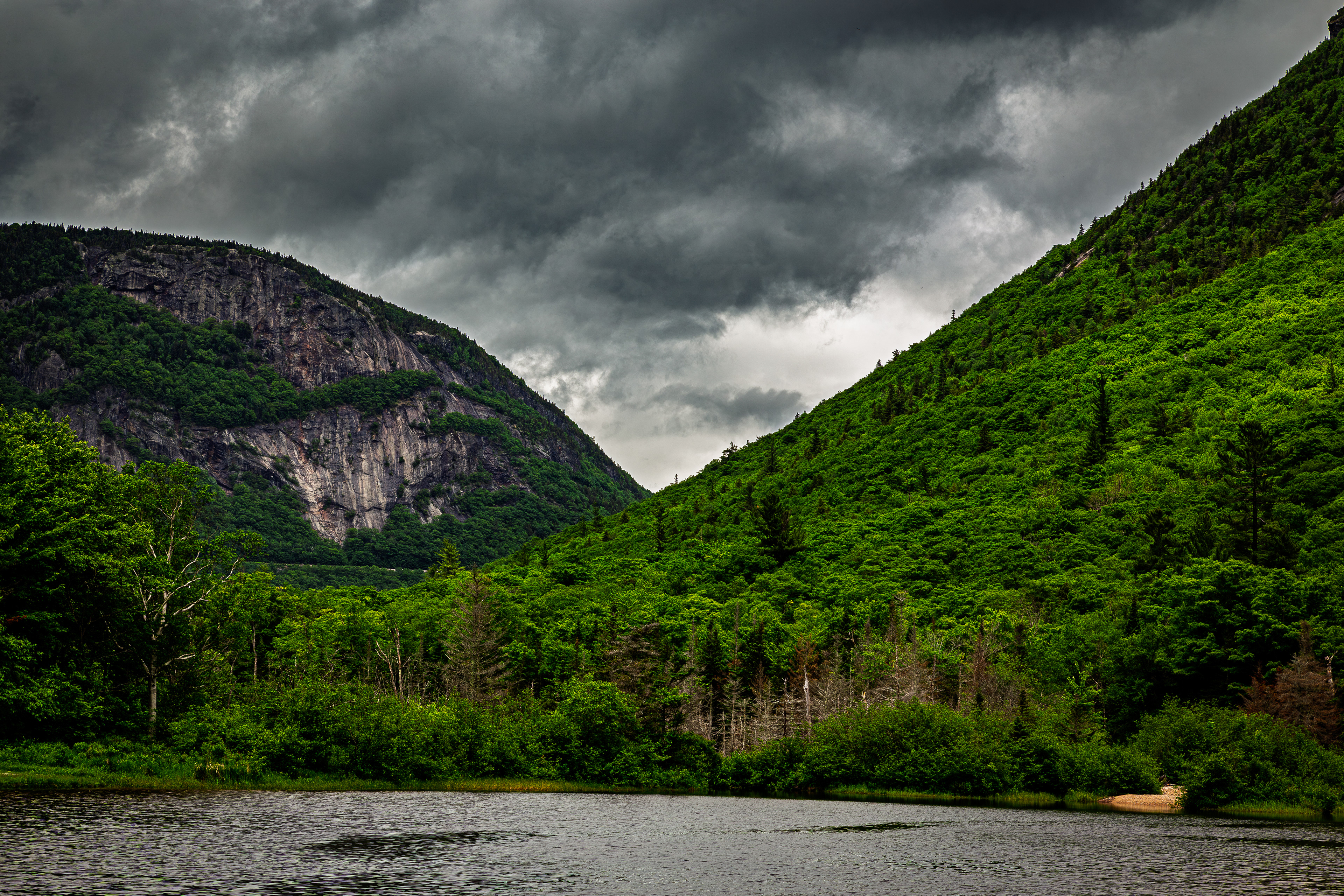 Willey Pond No2