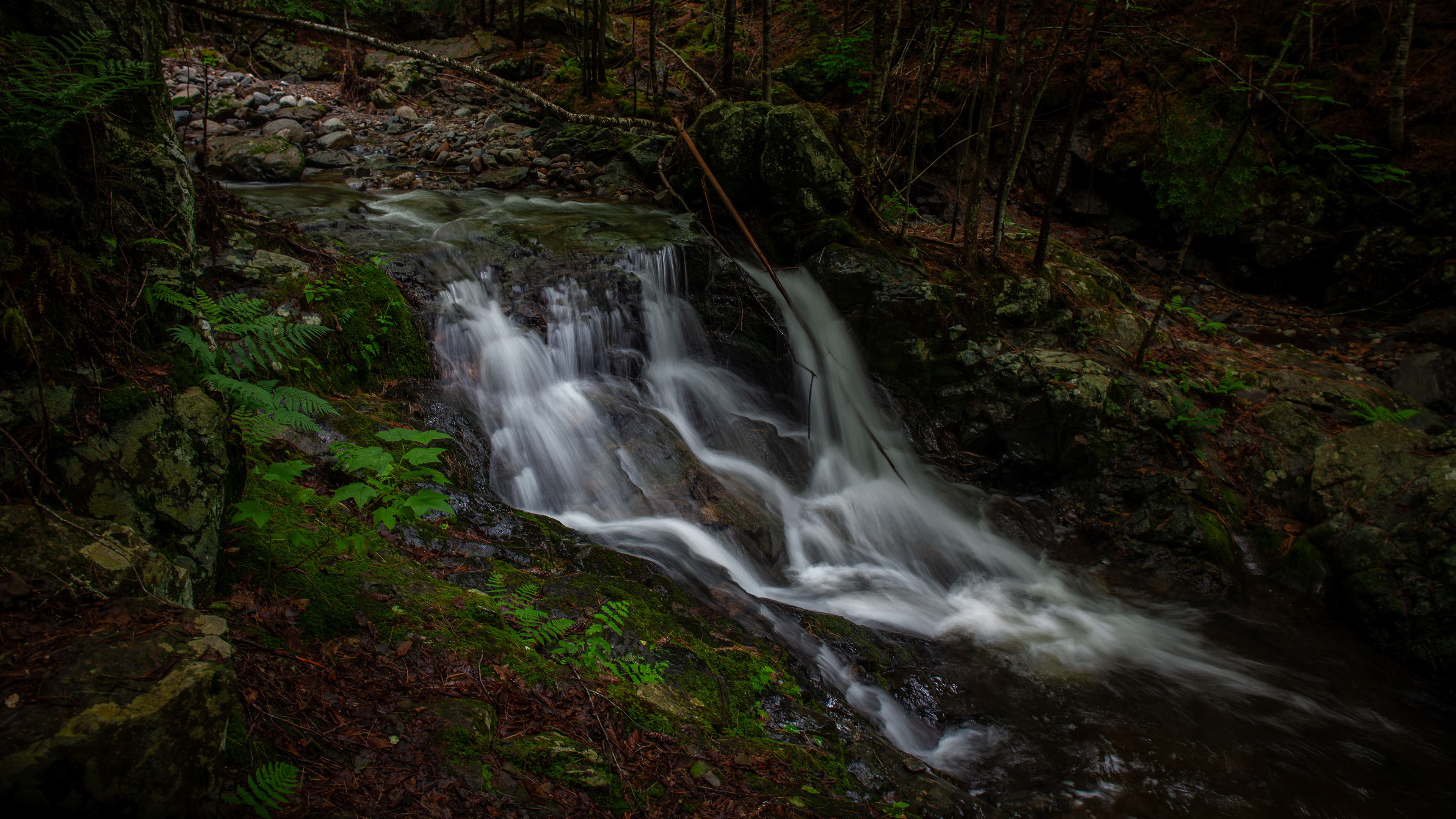 Emerald Pool Falls at CITC - June 24, 2024