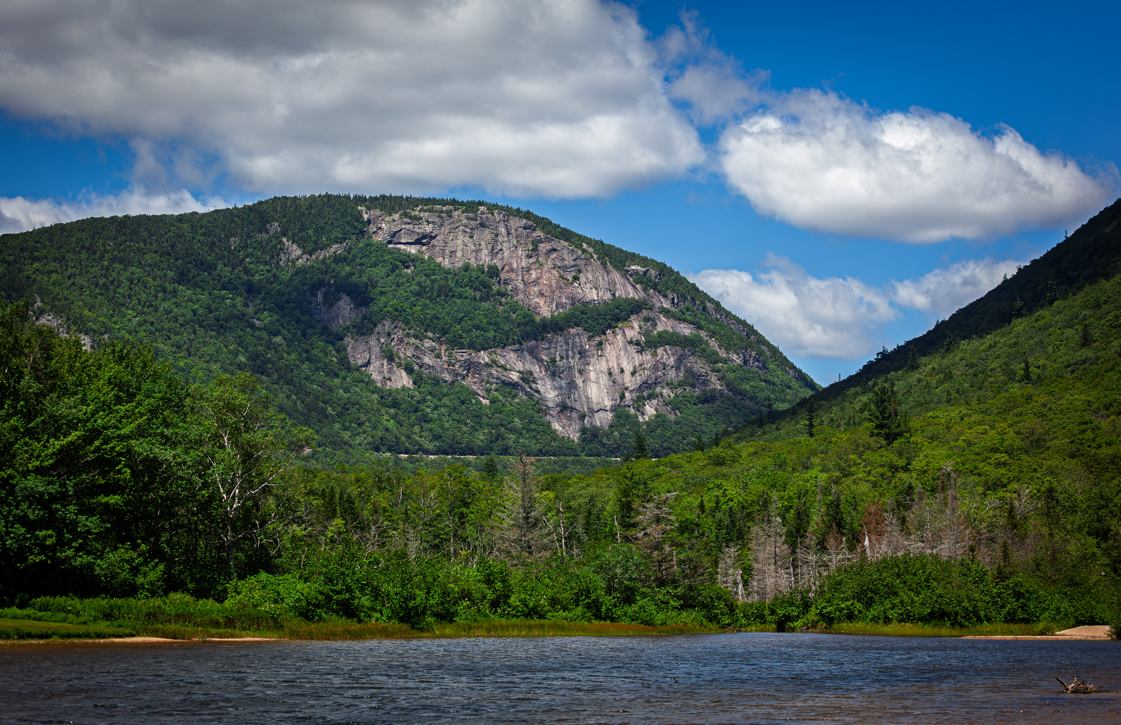Mount Willard from Willey Pond No2