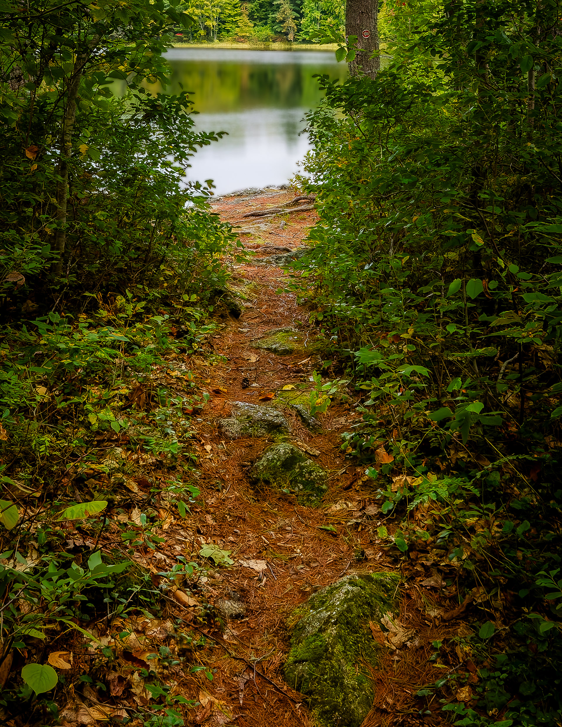 Joe Urner Hiking Trail No2