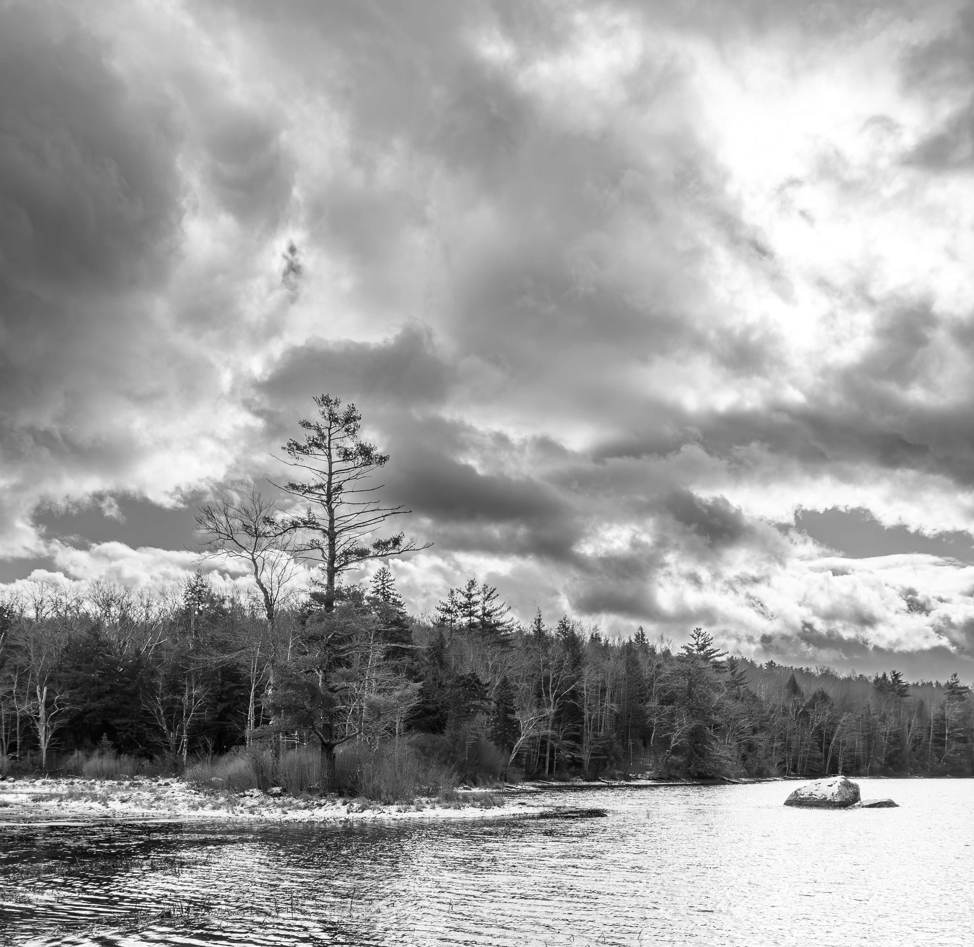Rollins Pond No1